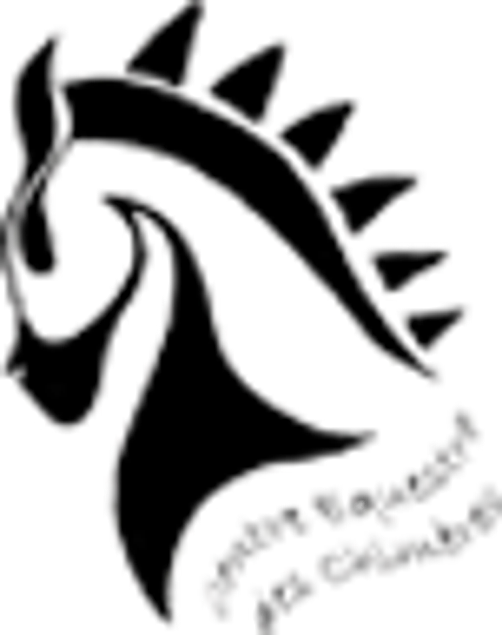 Equestrian Center Les Chimères