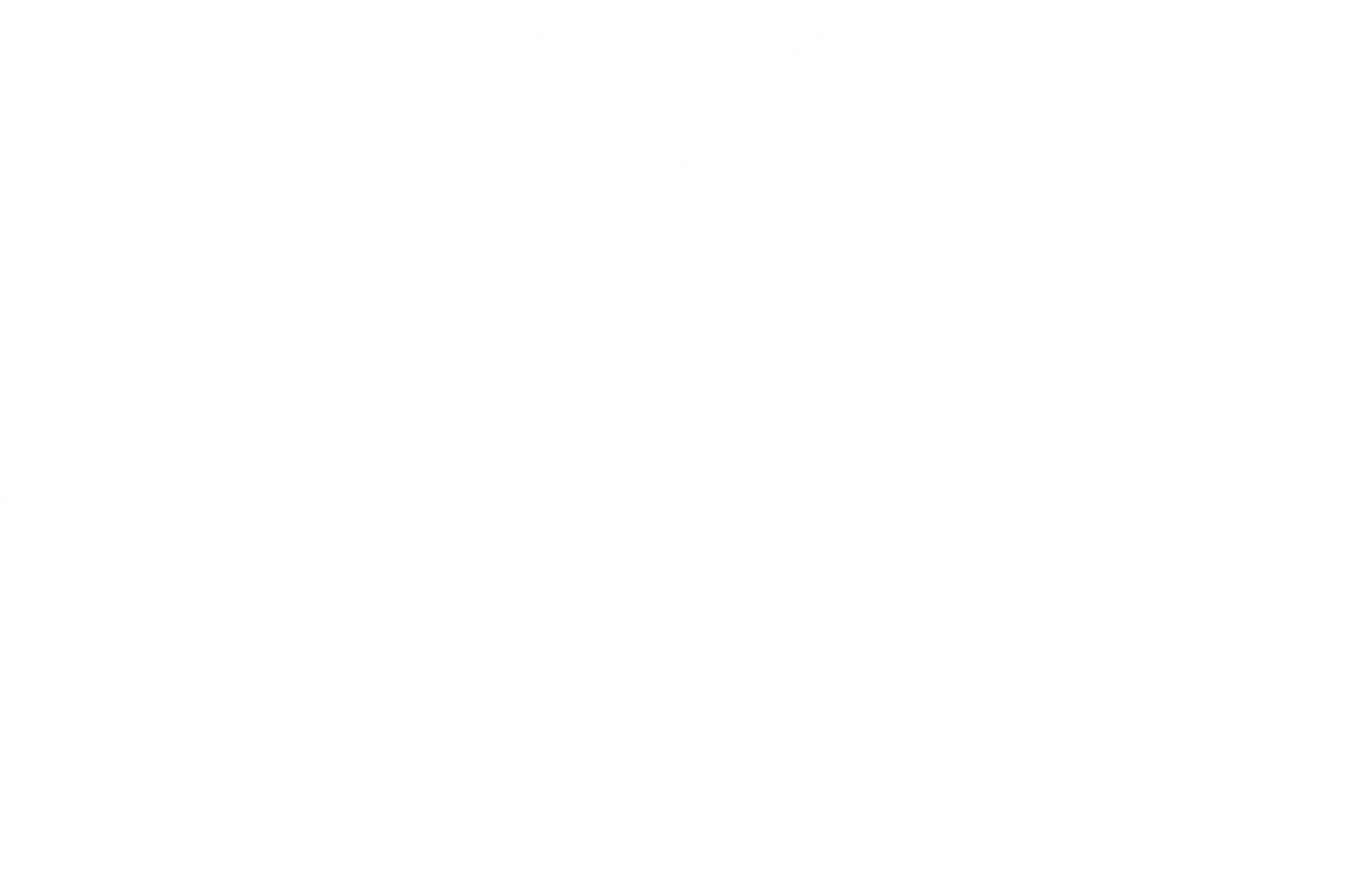 The Mudeford Coach