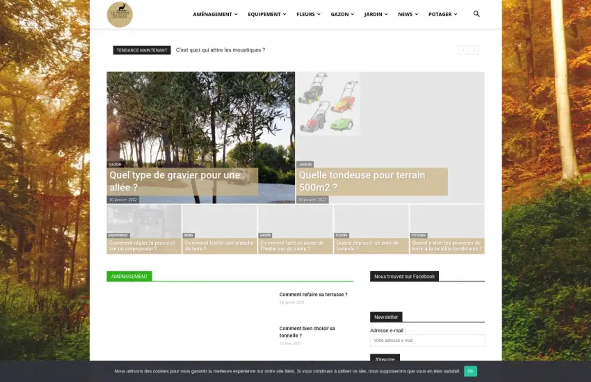 Cercle Celtique Gwen Ha Du