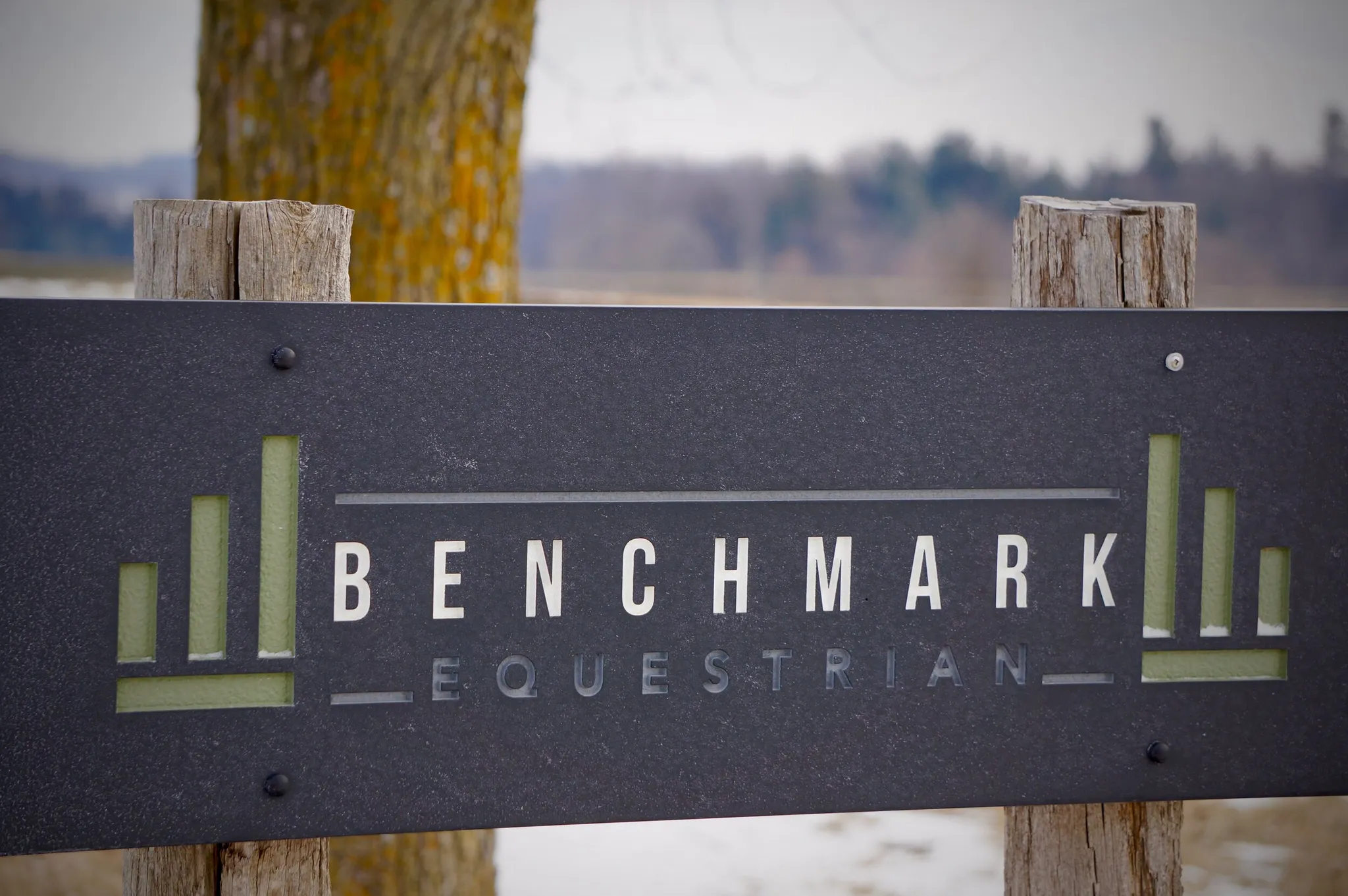 Benchmark Equestrian