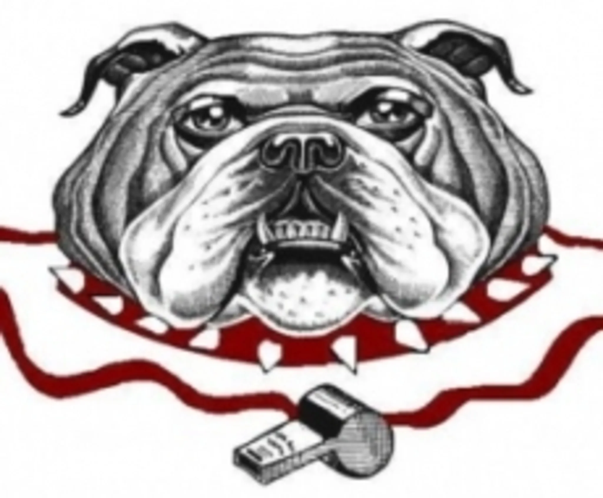 WRFL Umpires Association