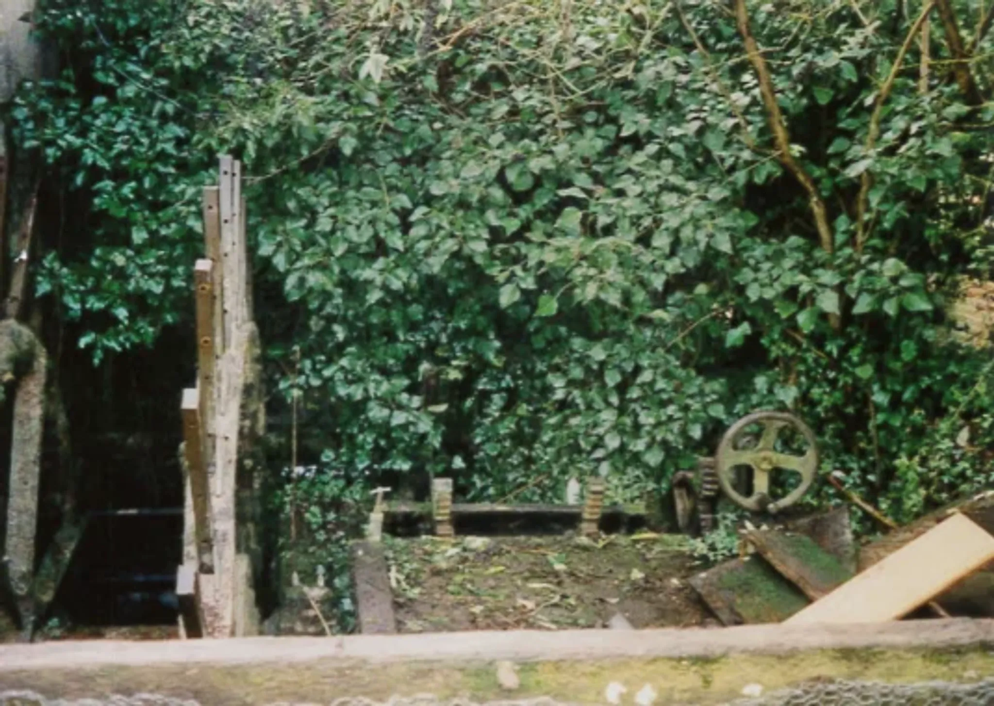 Kimbridge Trout Fishing