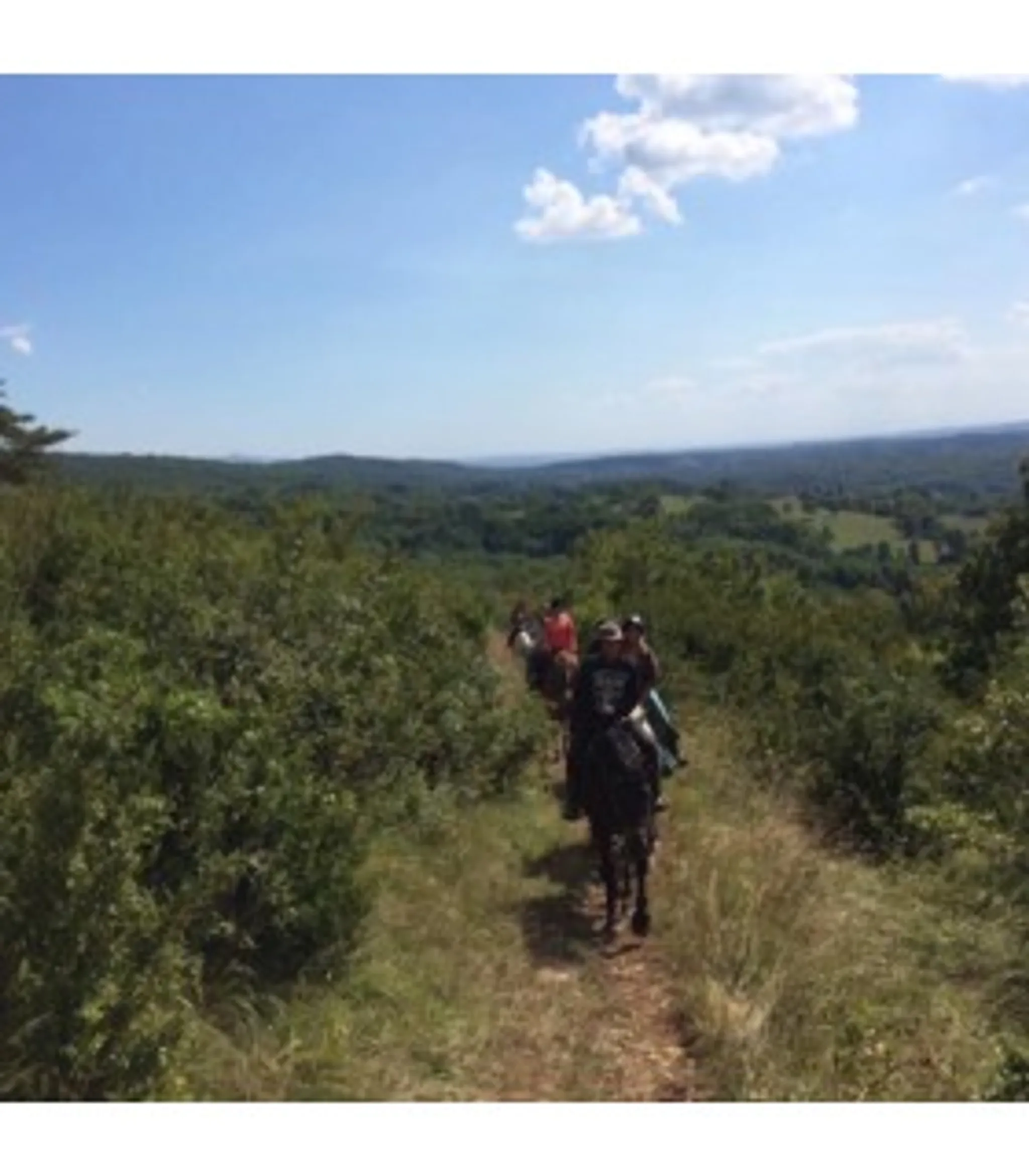 Séjour équitation loisirs et nature