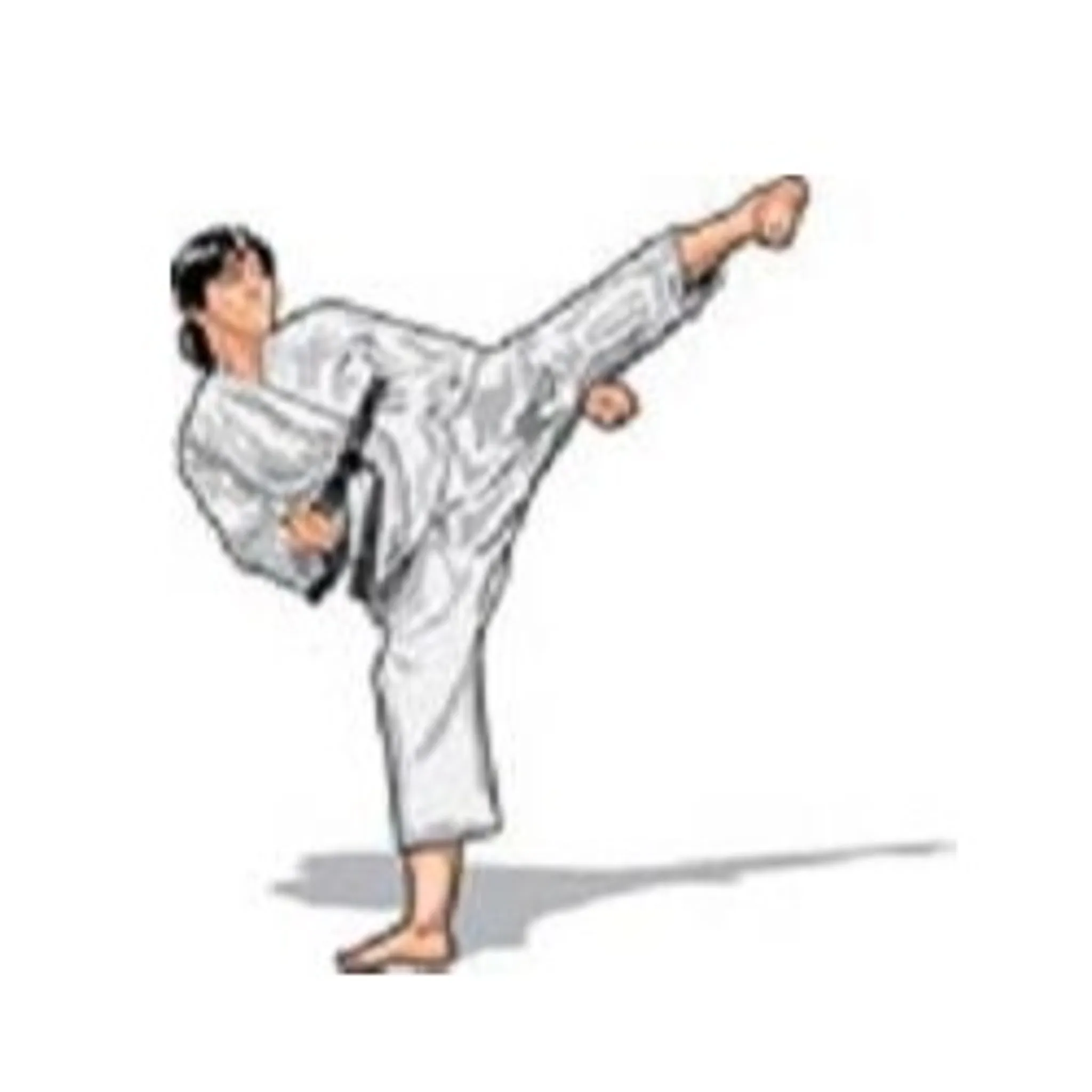 South East Australian Taekwondo