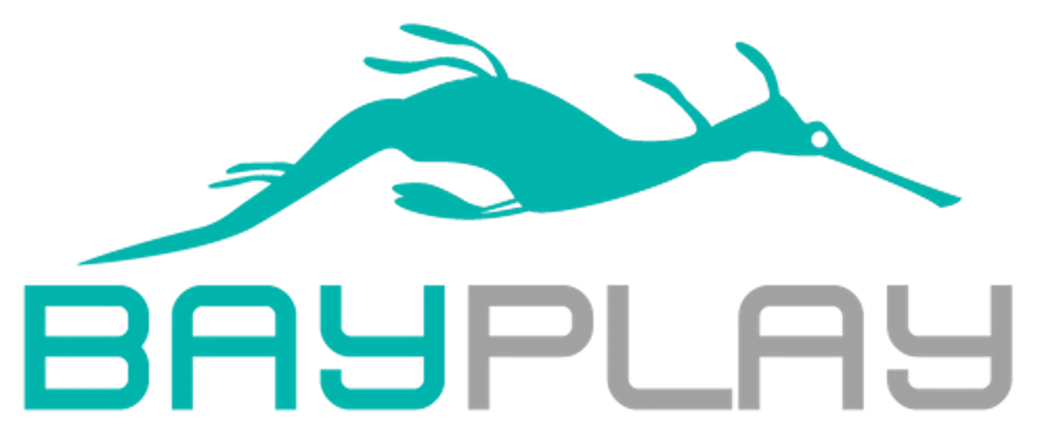 Bayplay Adventure Tours