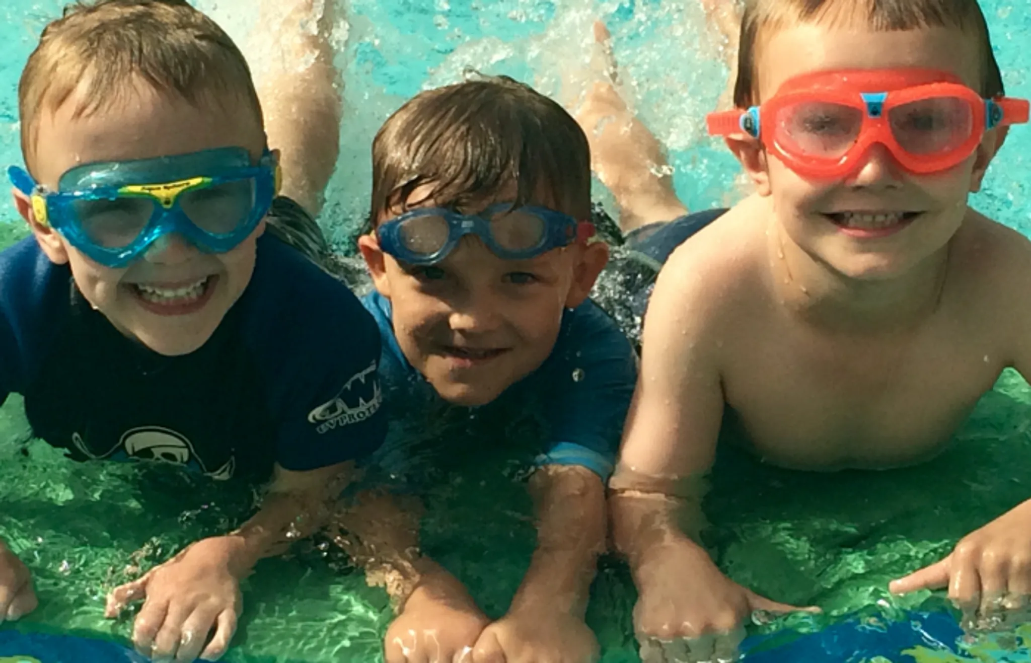 The Jellyfish Spectrum