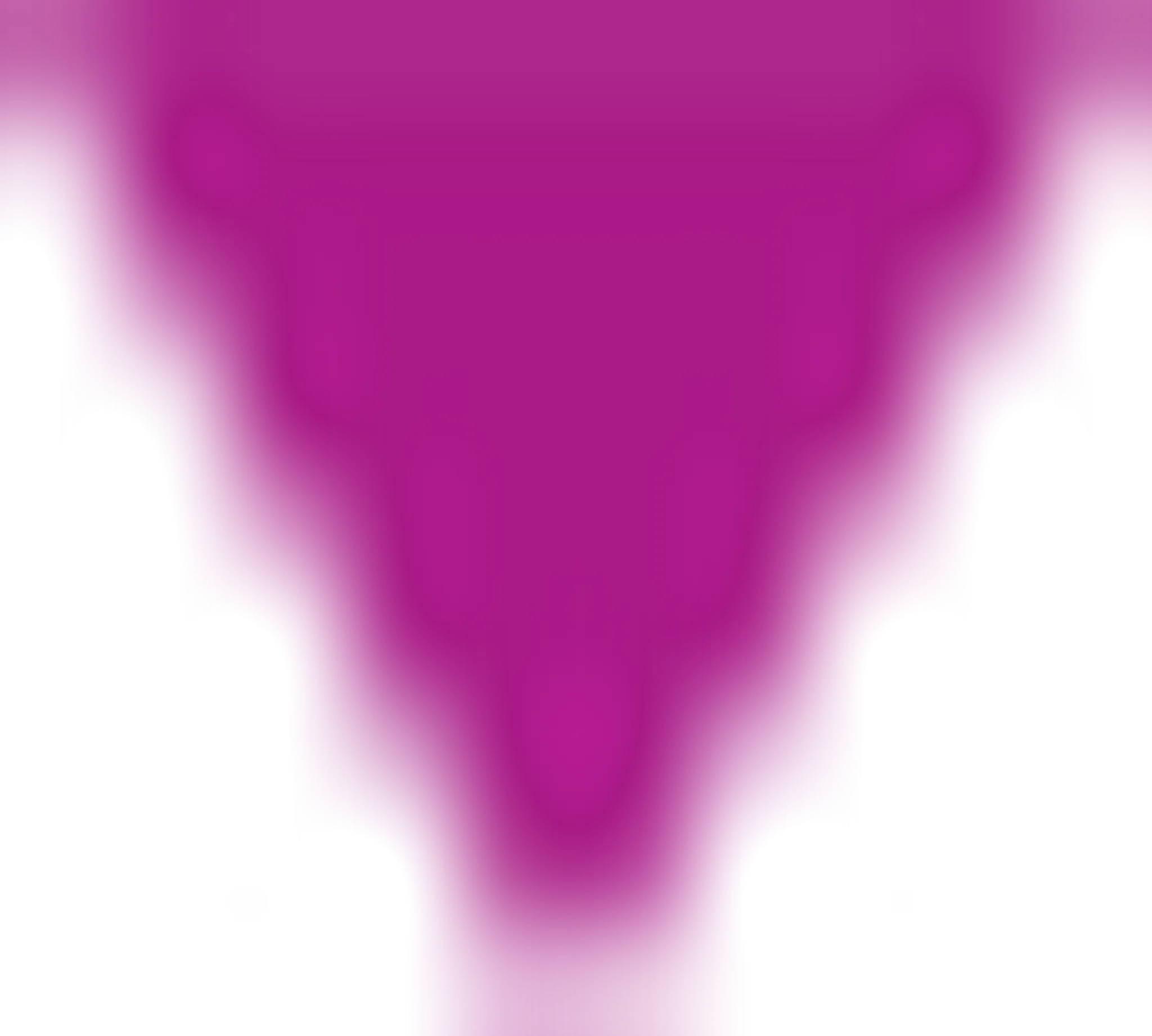 Dance 2 Dawn Strictly Ballroom and Latin