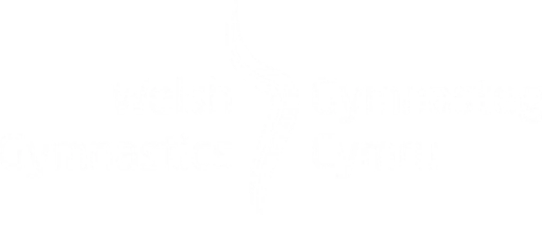Elements Gymnastics Academy LTD
