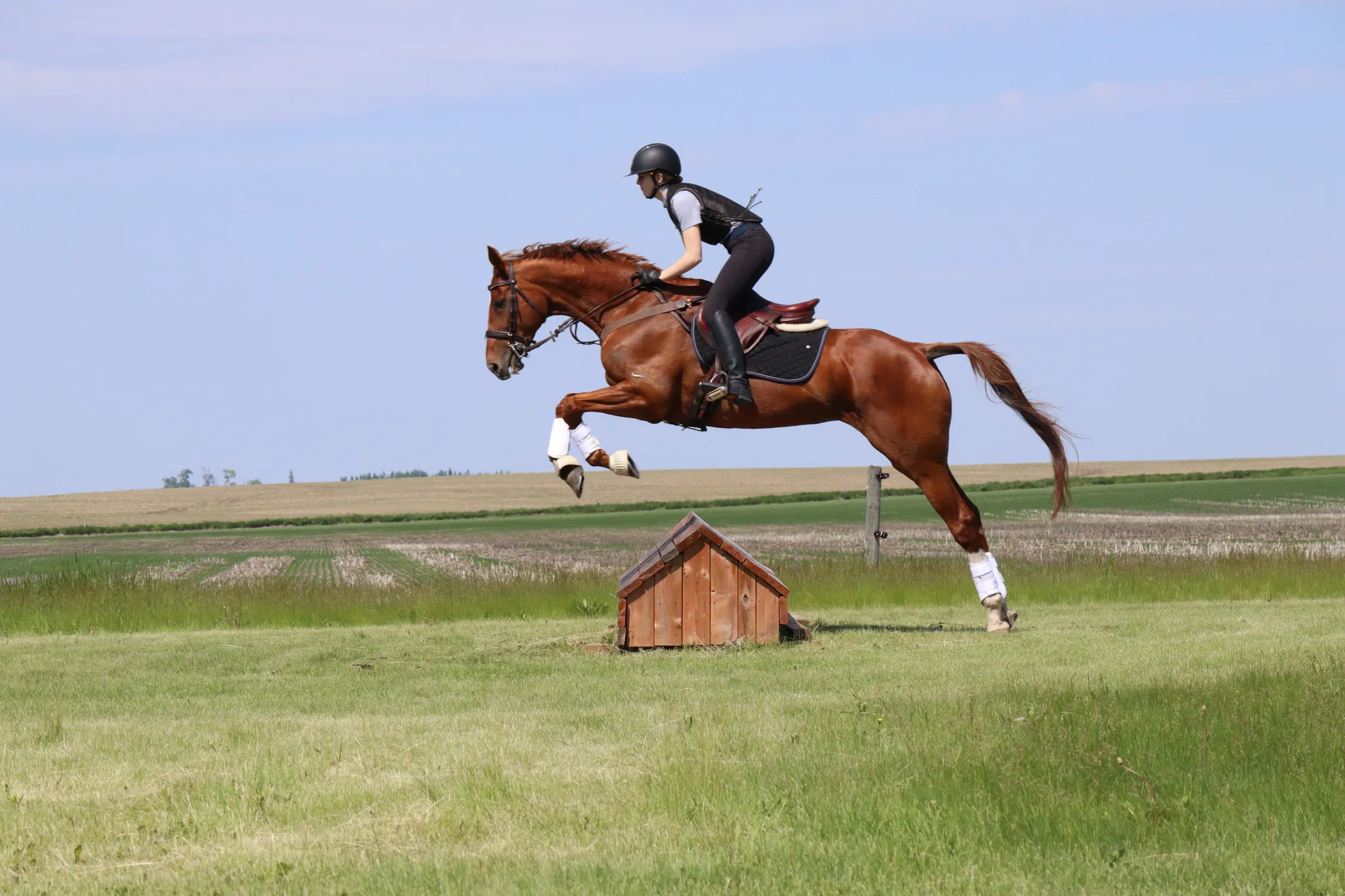 Manitoba Horse Trials 2024 Events