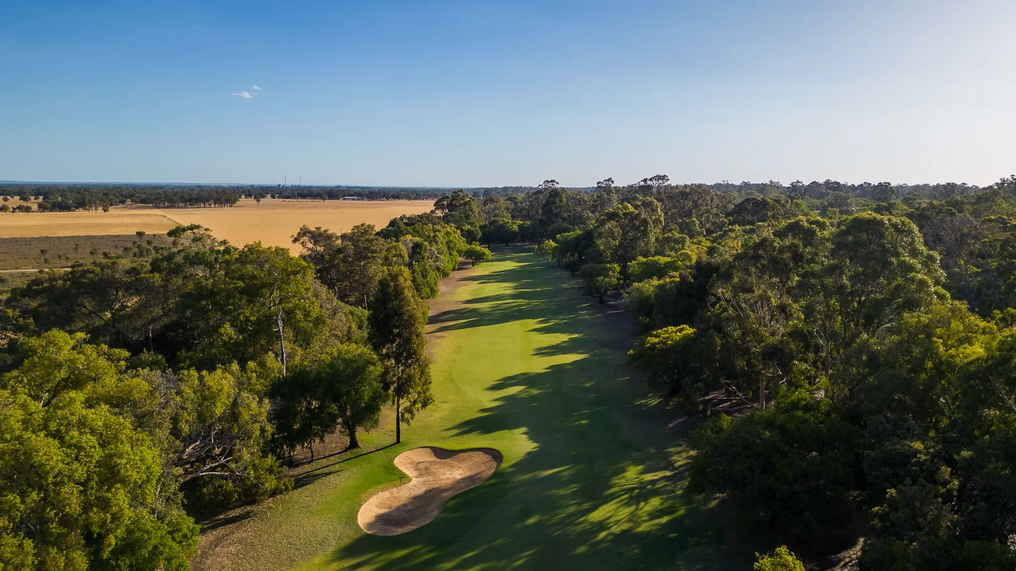 Canadian Stableford Golf Tournament