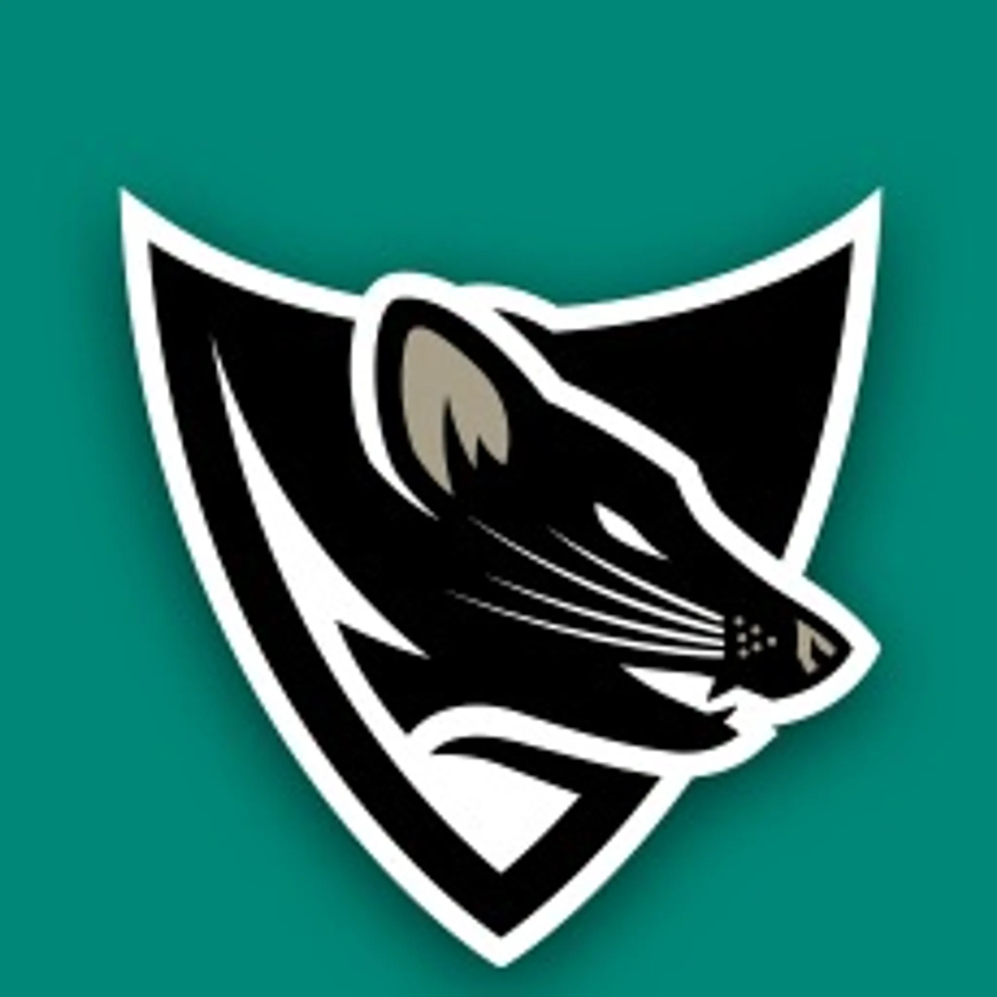 Hobart Devils 3X3 Basketball Club