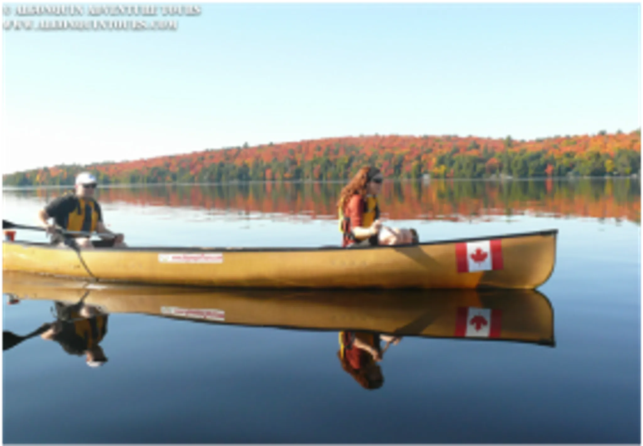 Algonquin Park Adventure Tours