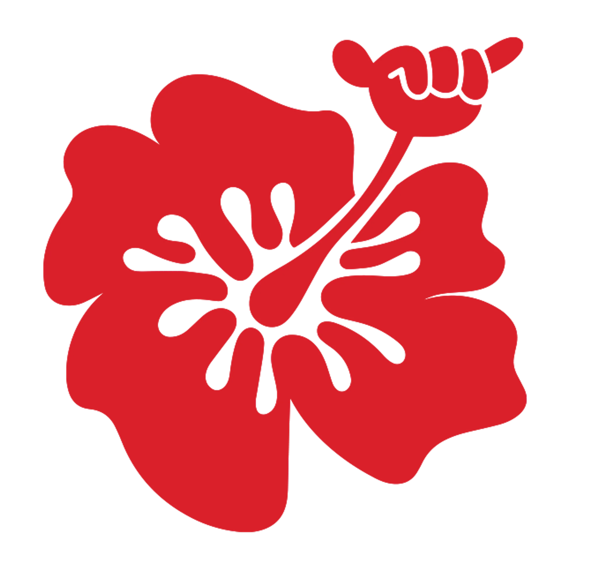 Hibiscus Surf School - Main Beach