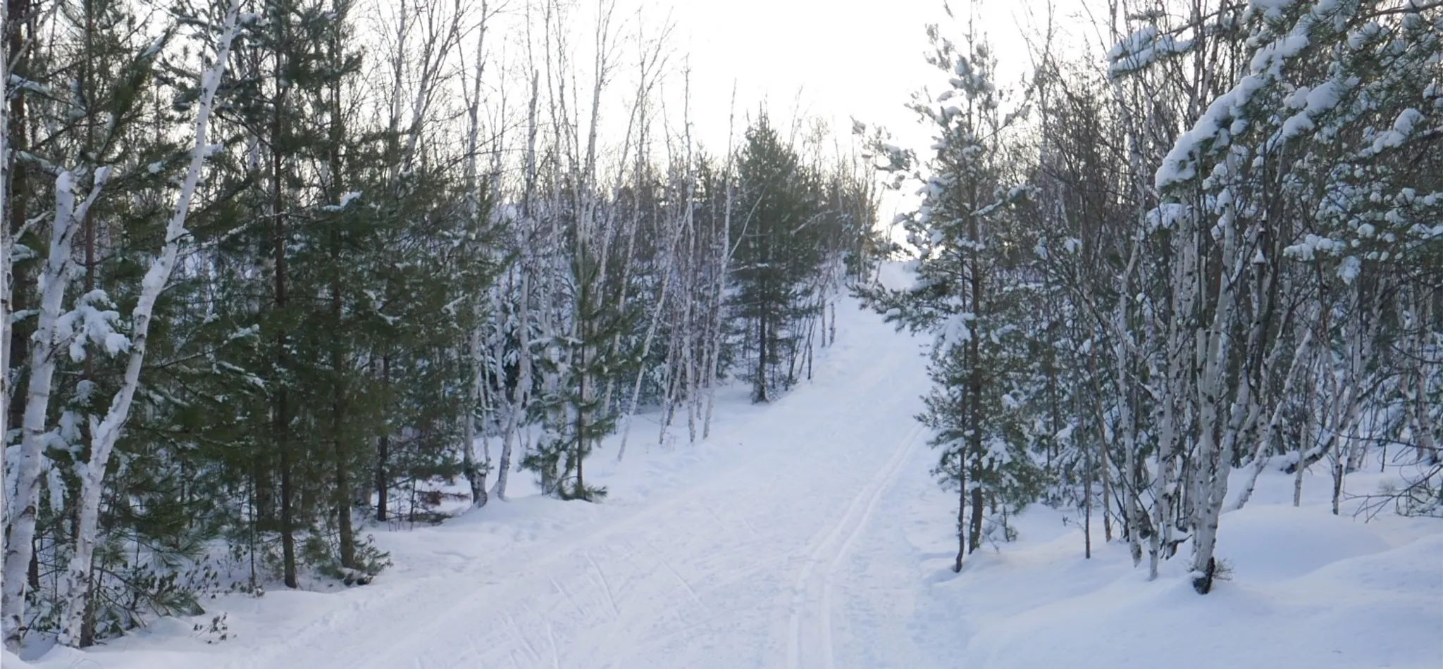Laurentian Nordic Ski Club