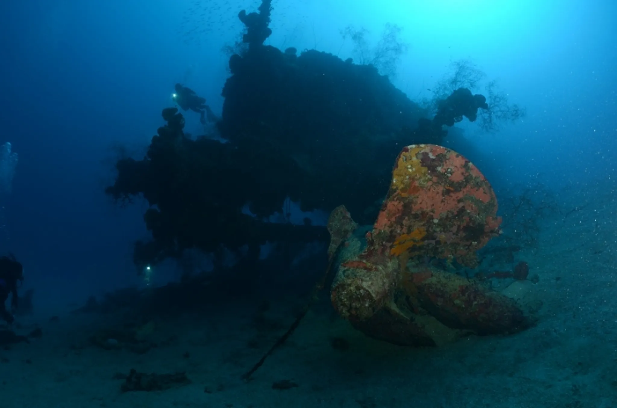 Diver Signup for Amed, Bali Dive