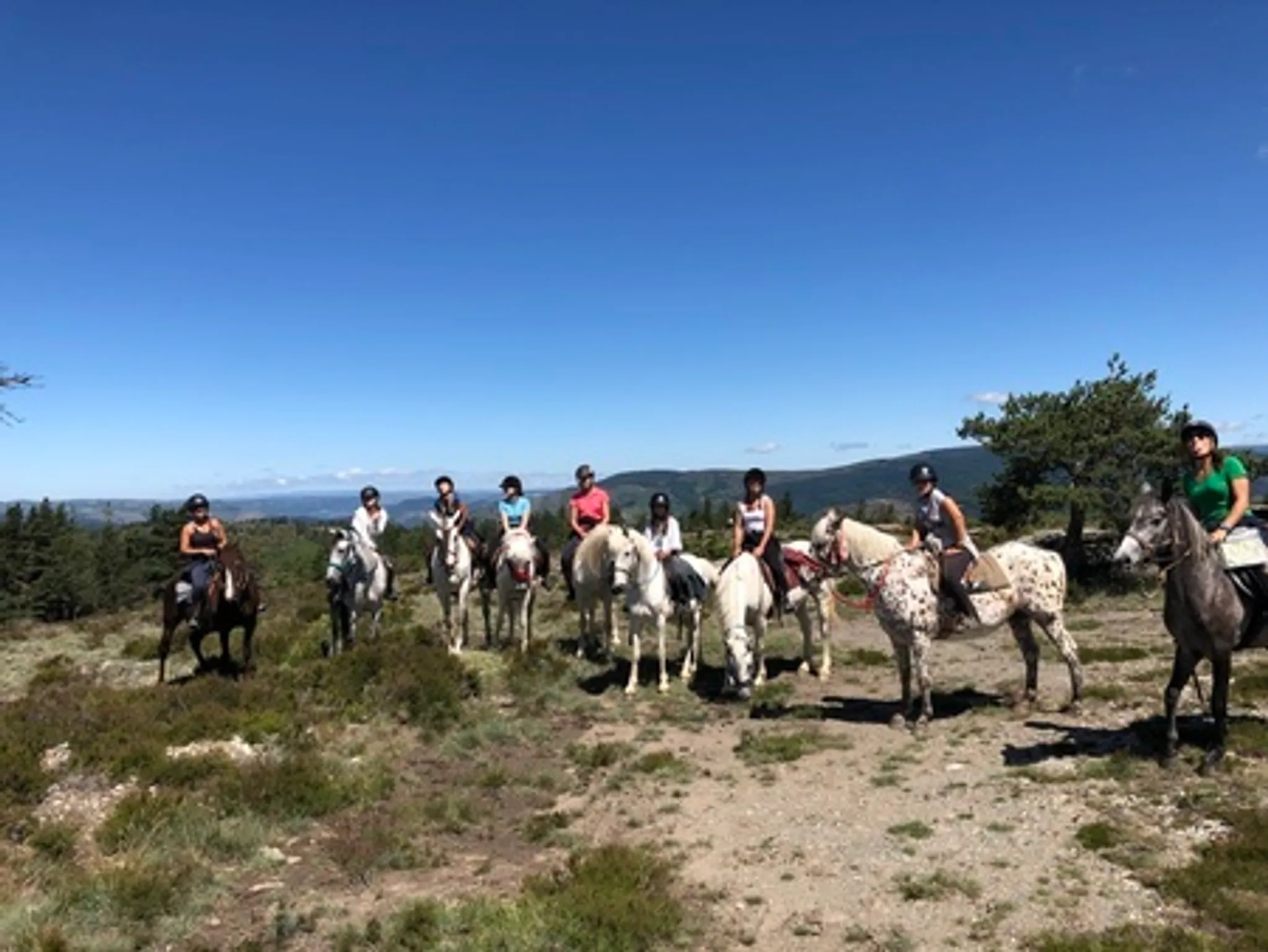 Compétition de TREC à Les Enganes, Fontvieille