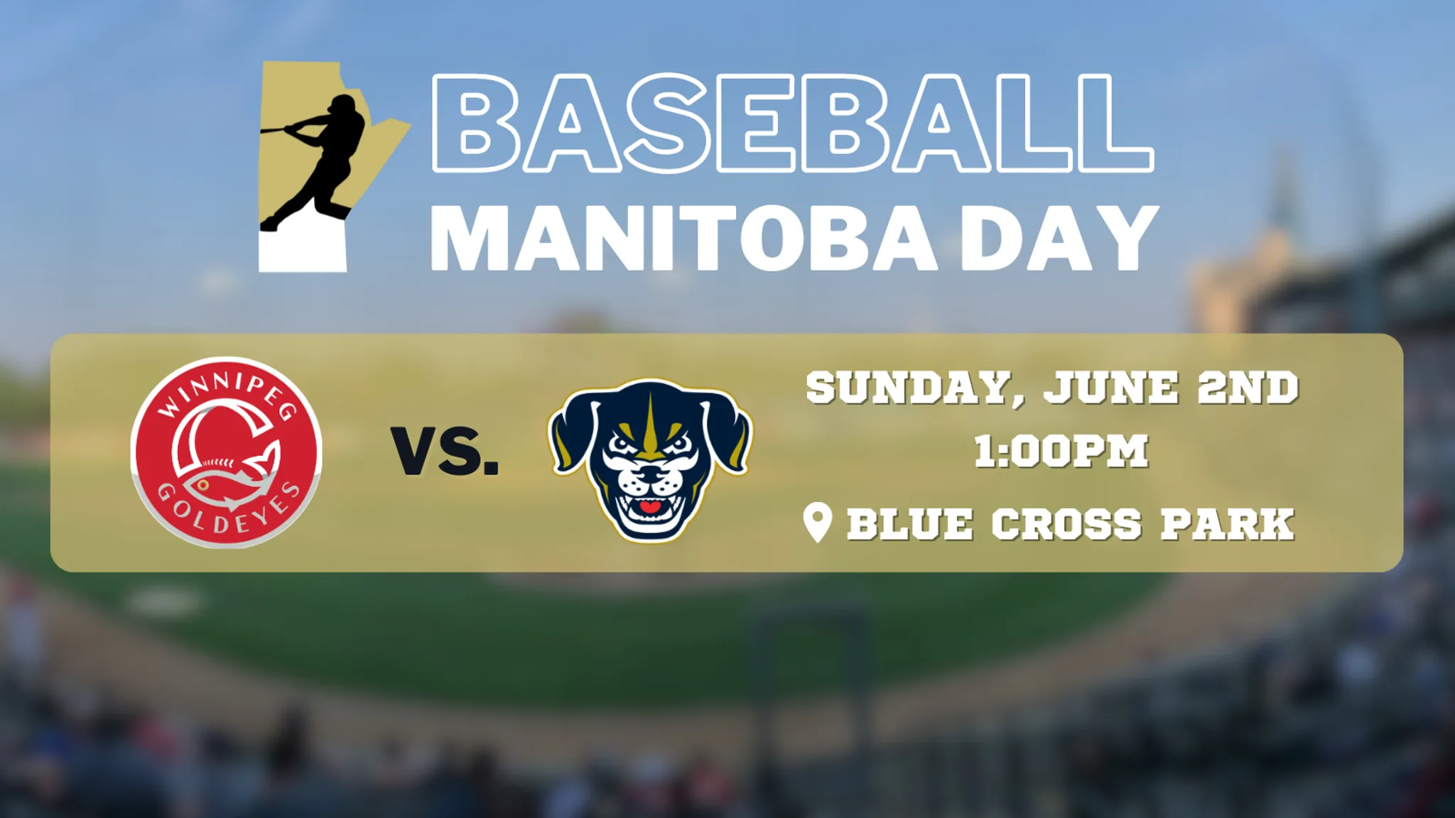 13UAAA Baseball Game