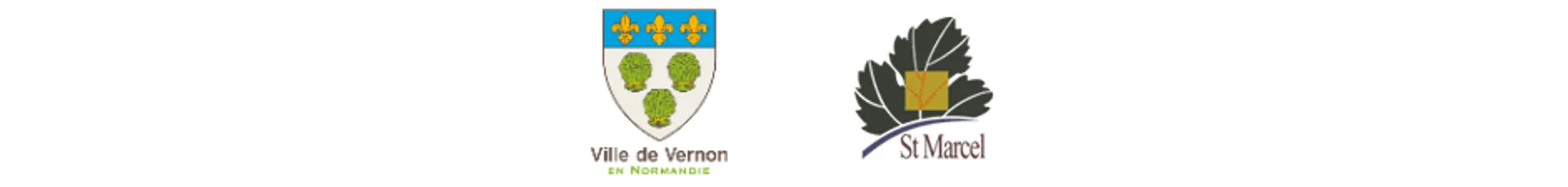 Espace Volley de Vernon Saint Marcel