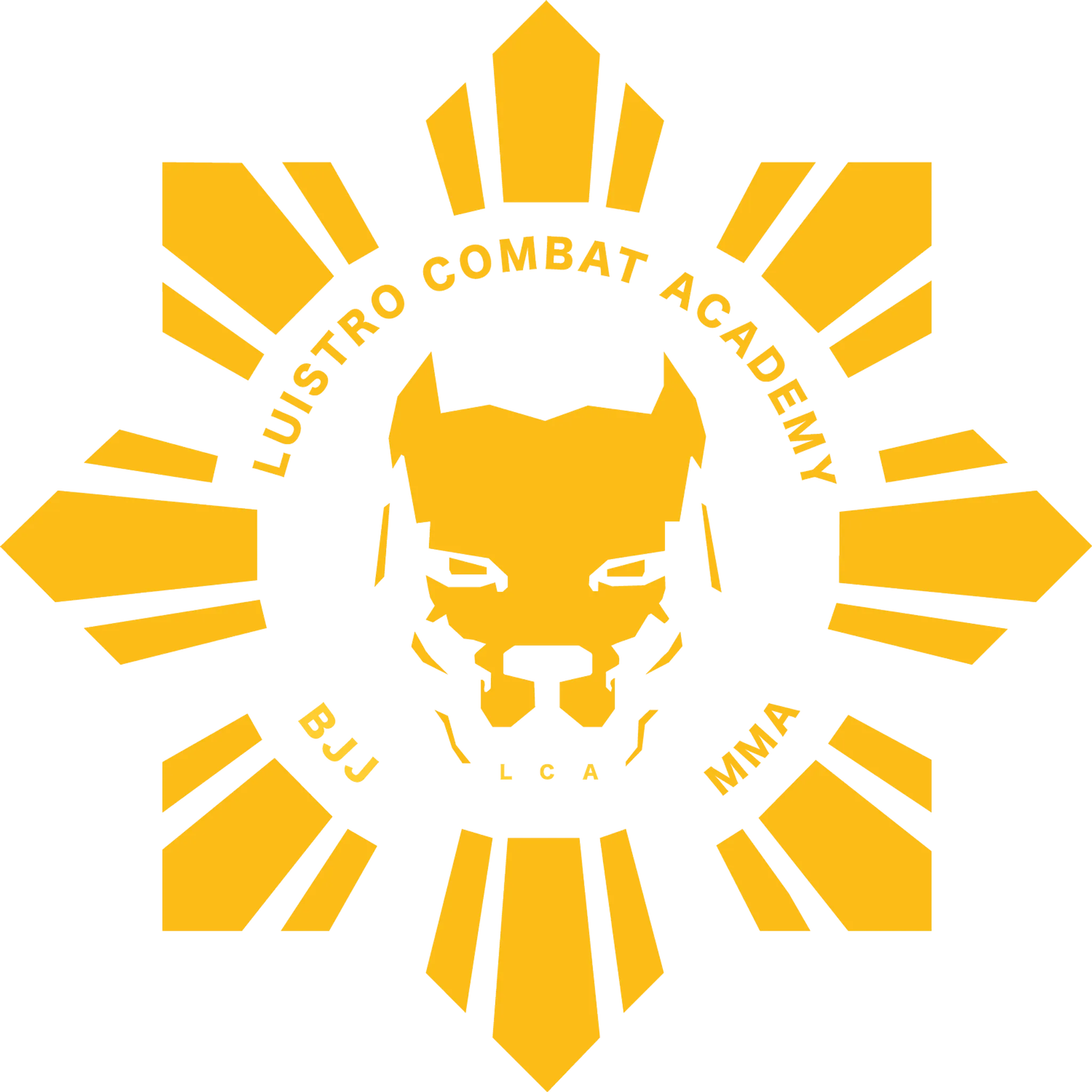 Luistro Combat Academy