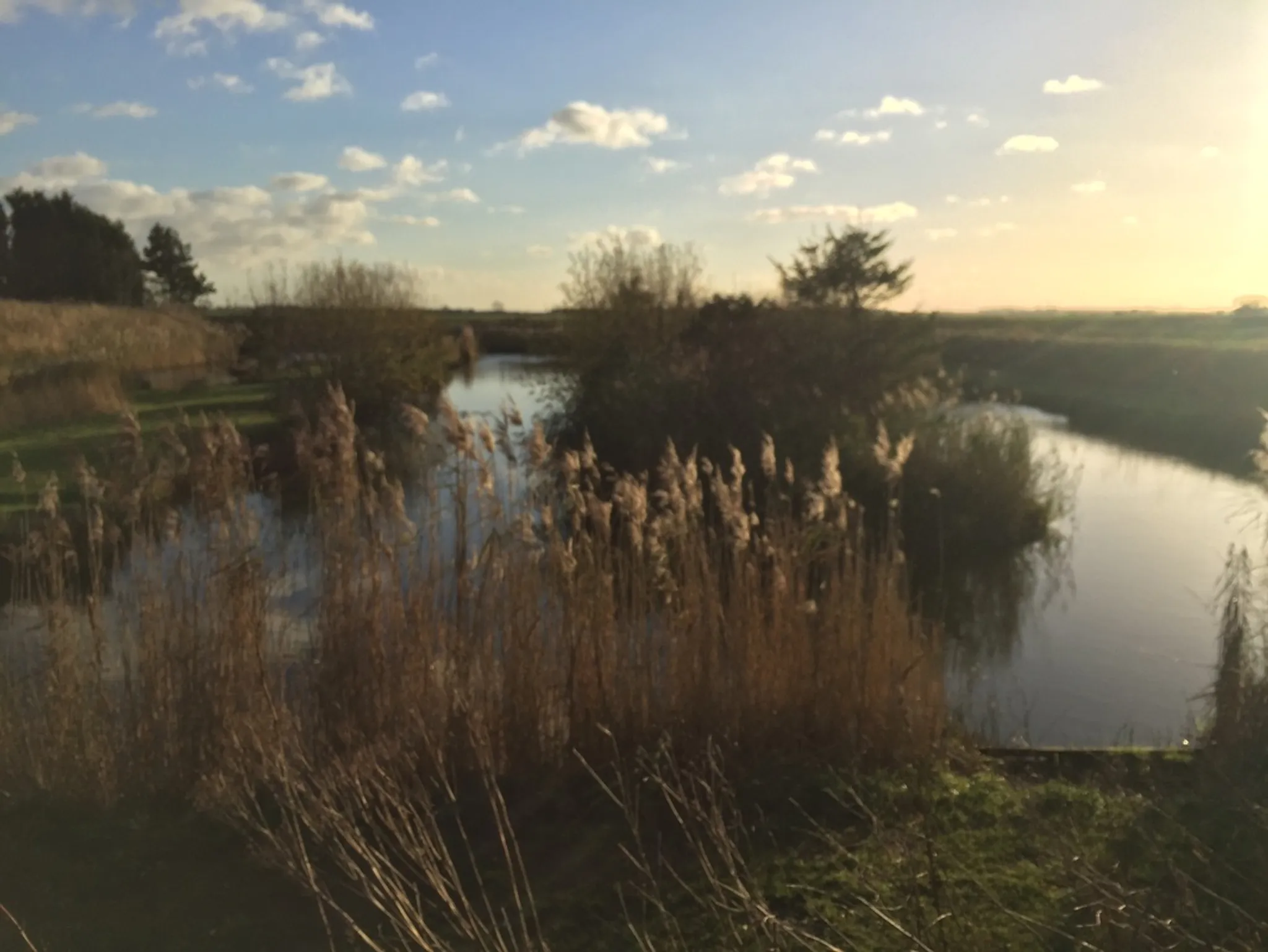White House Farm Fishery
