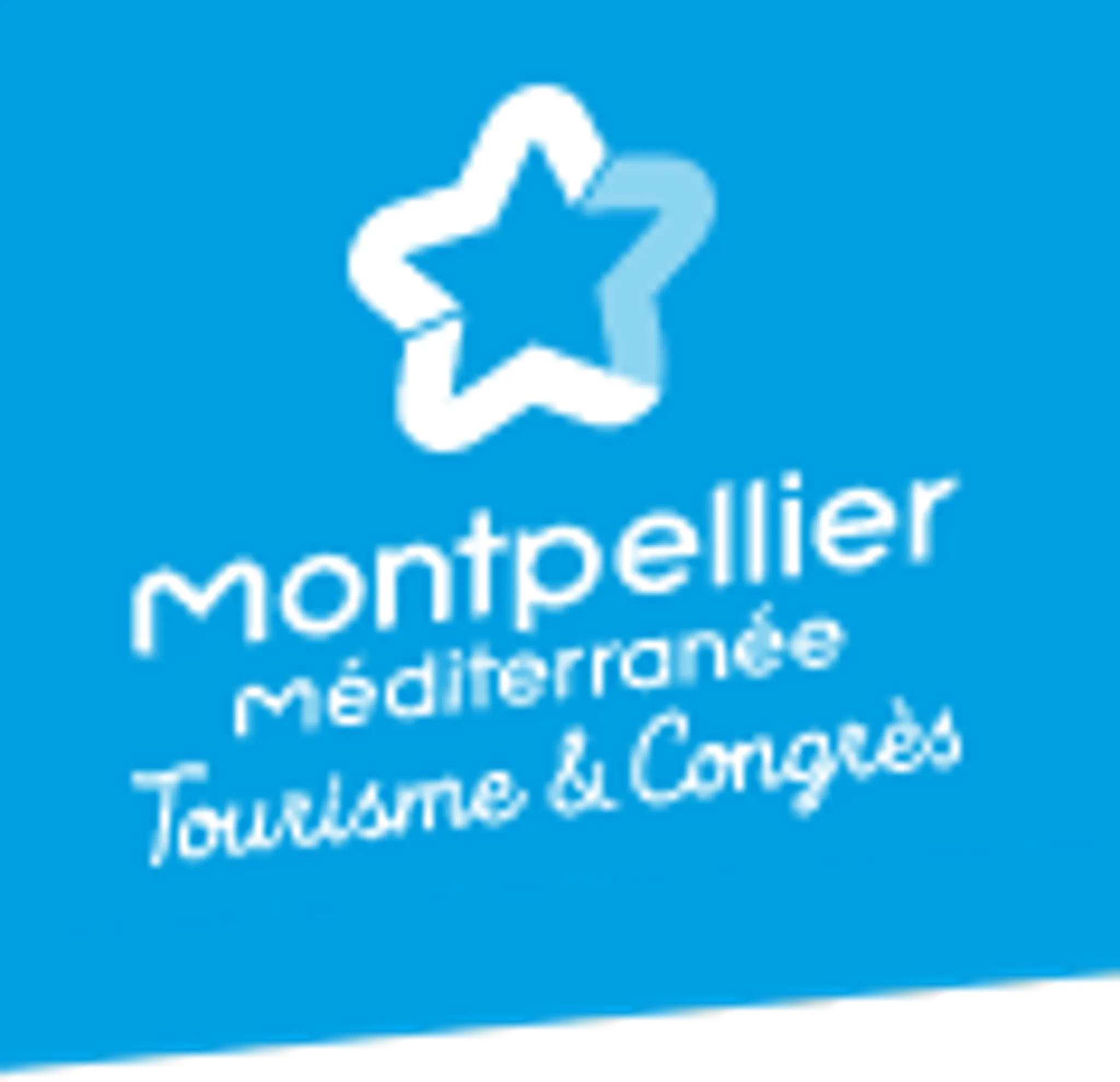 Room Martial Arts Montrapon Bozendo