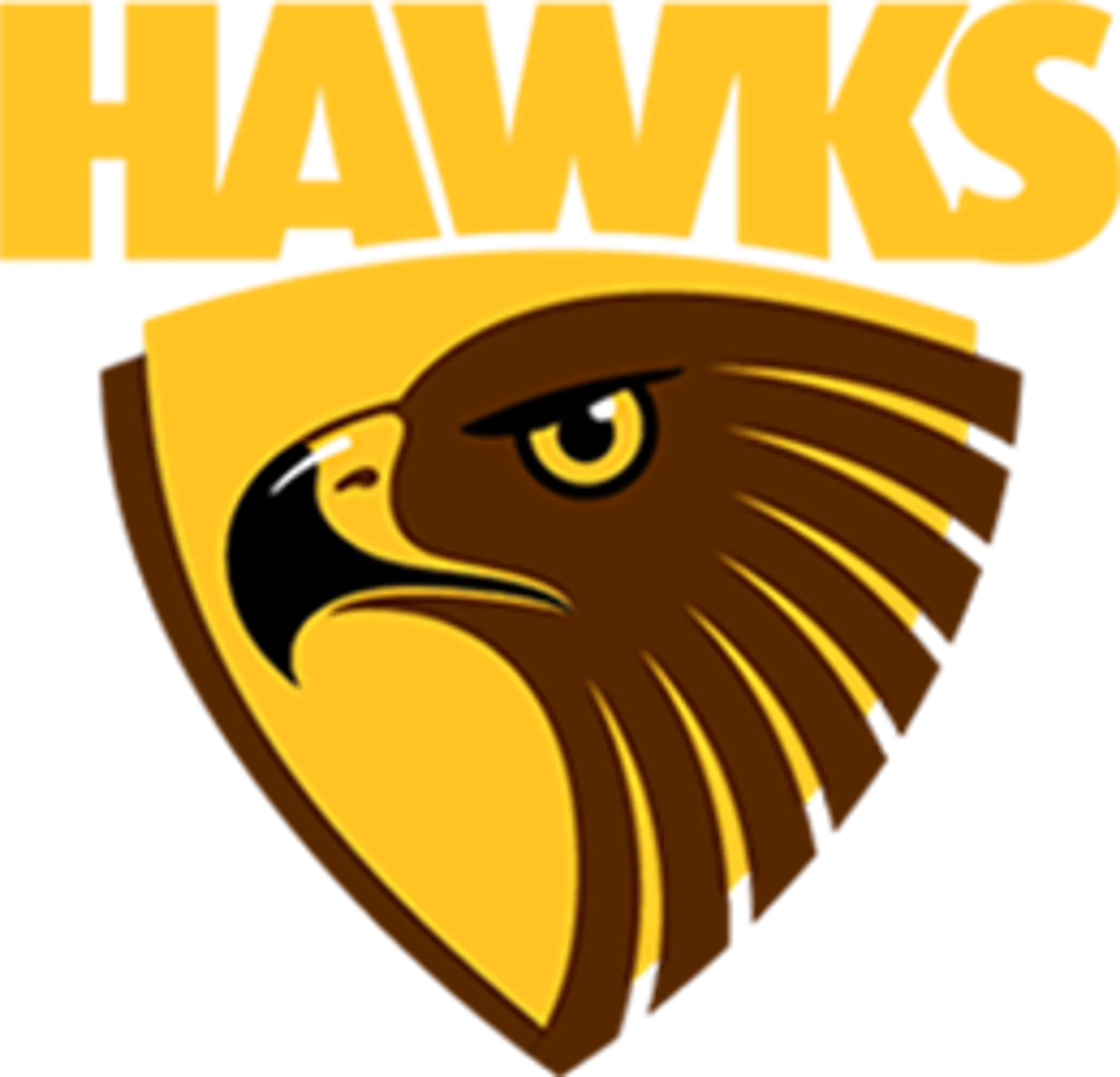 Hawks Netball Club