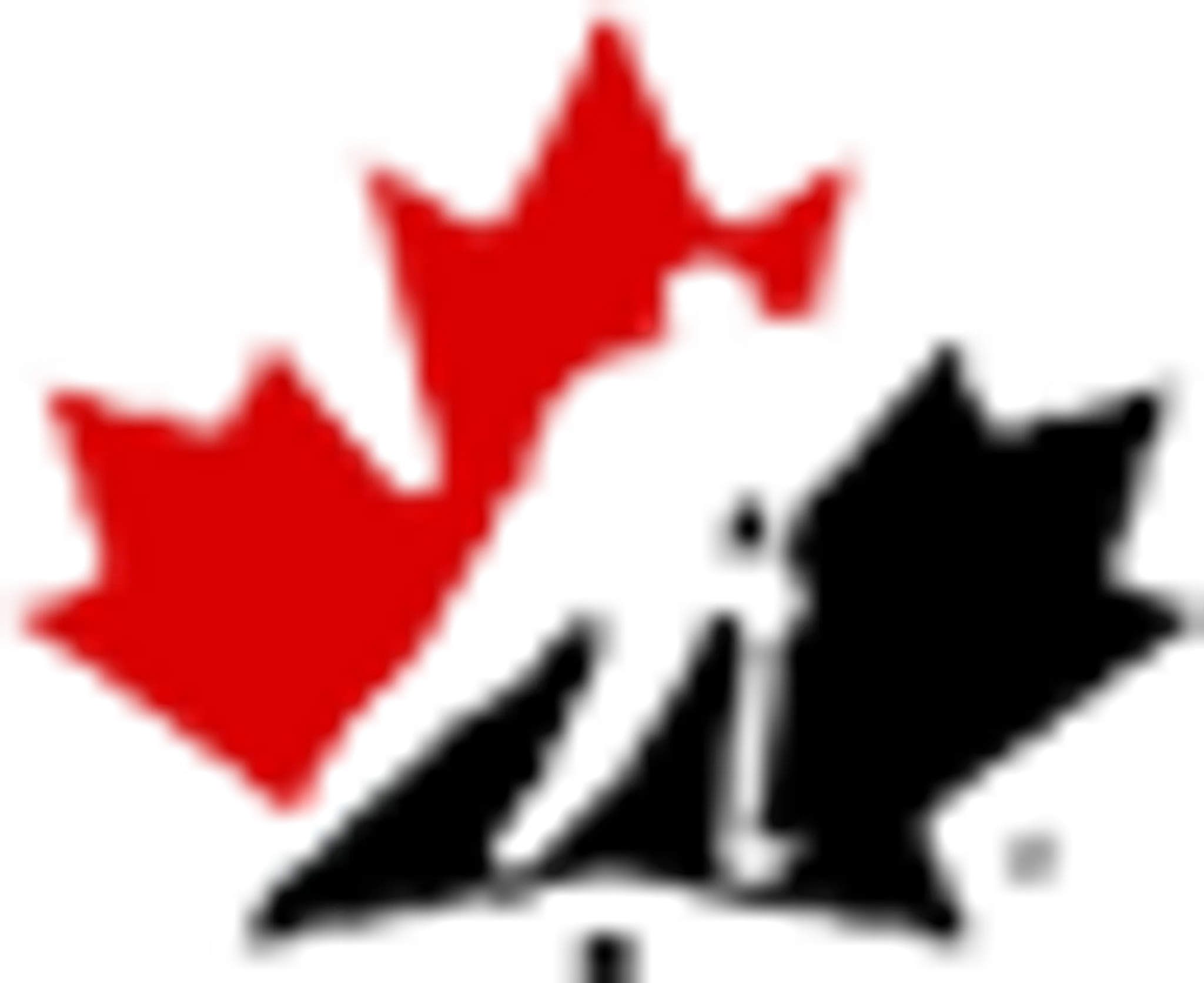 Ligue de Hockey Balle