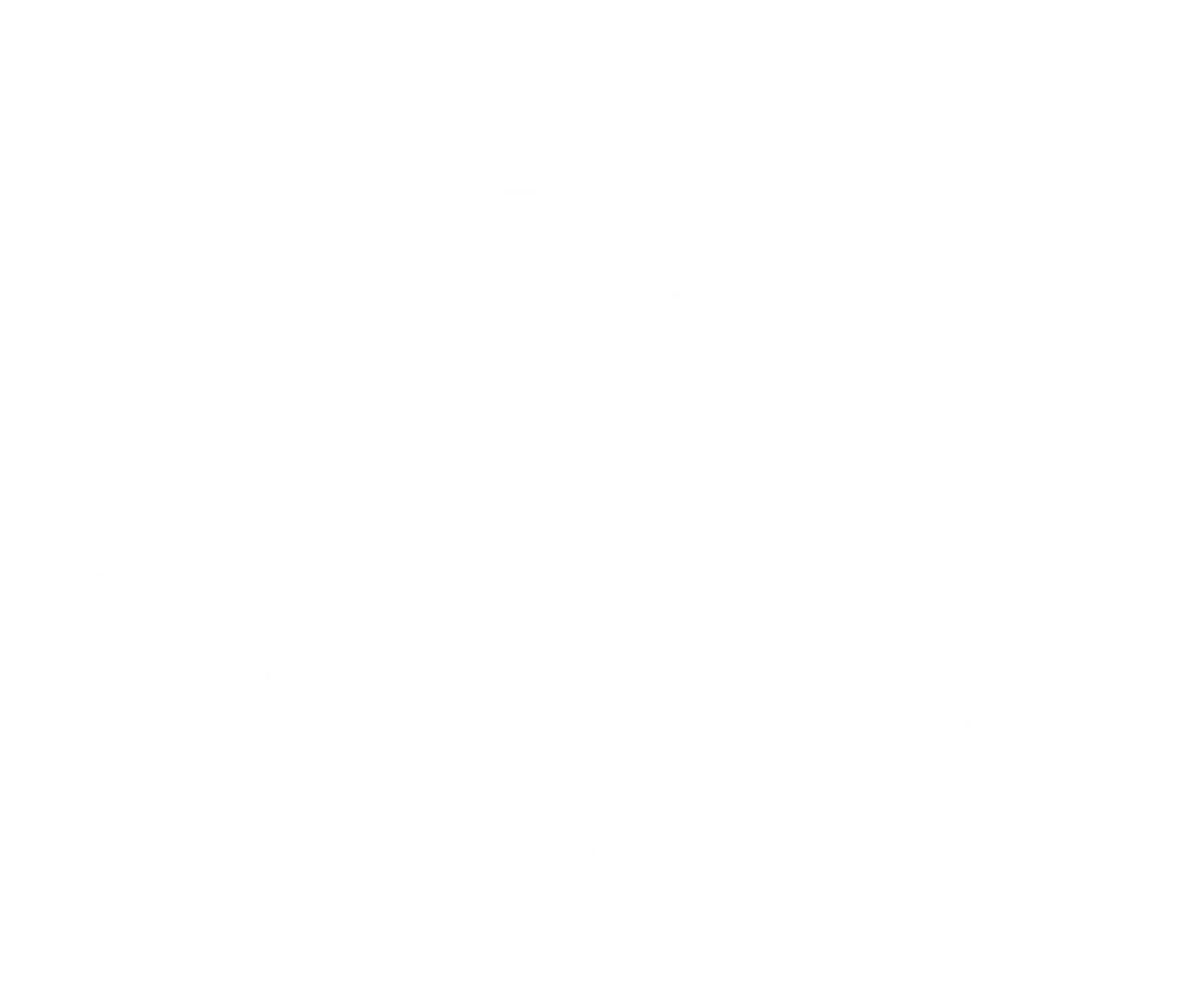 The Mind Zone
