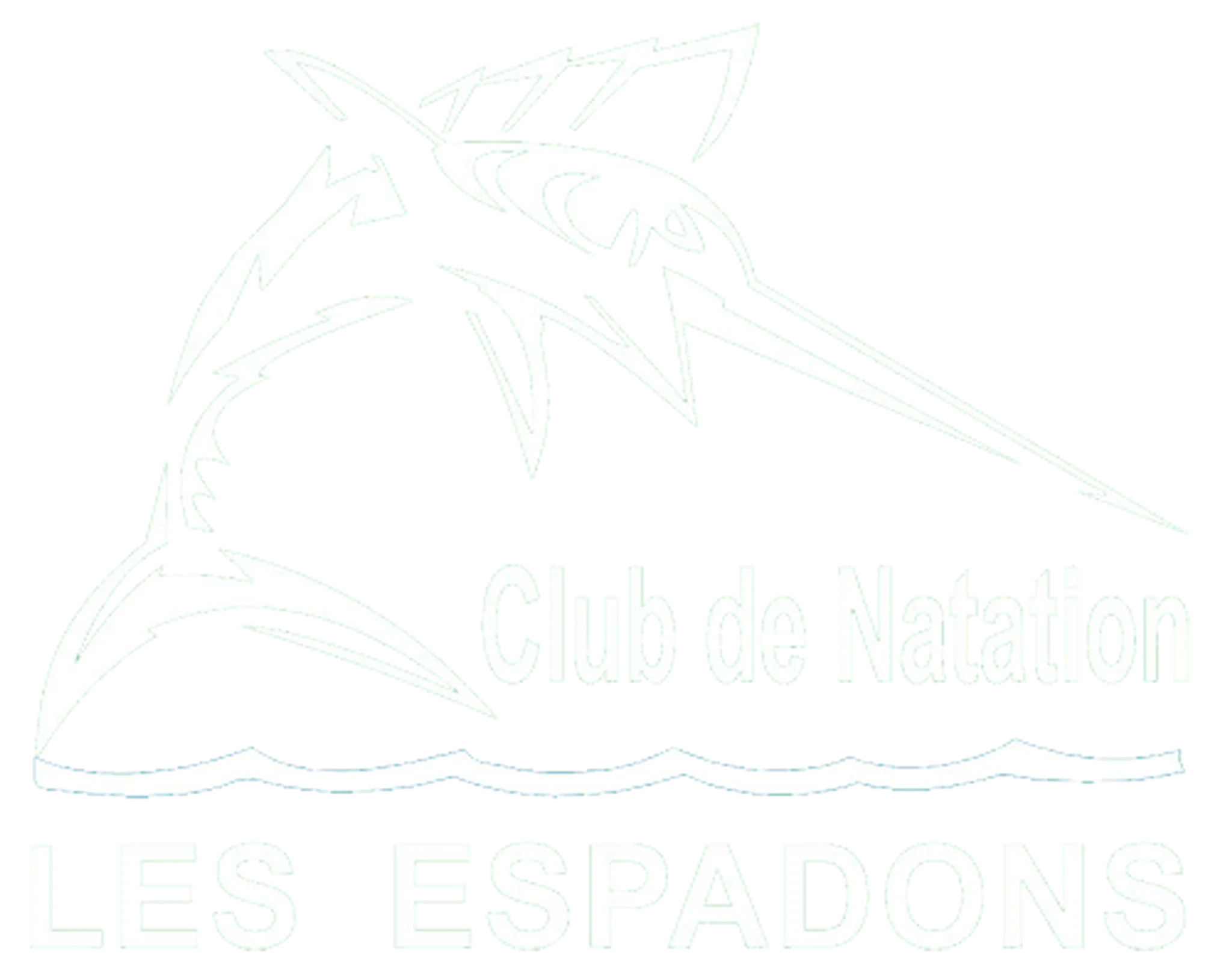 CLUB DE NATATION LES ESPADONS INC