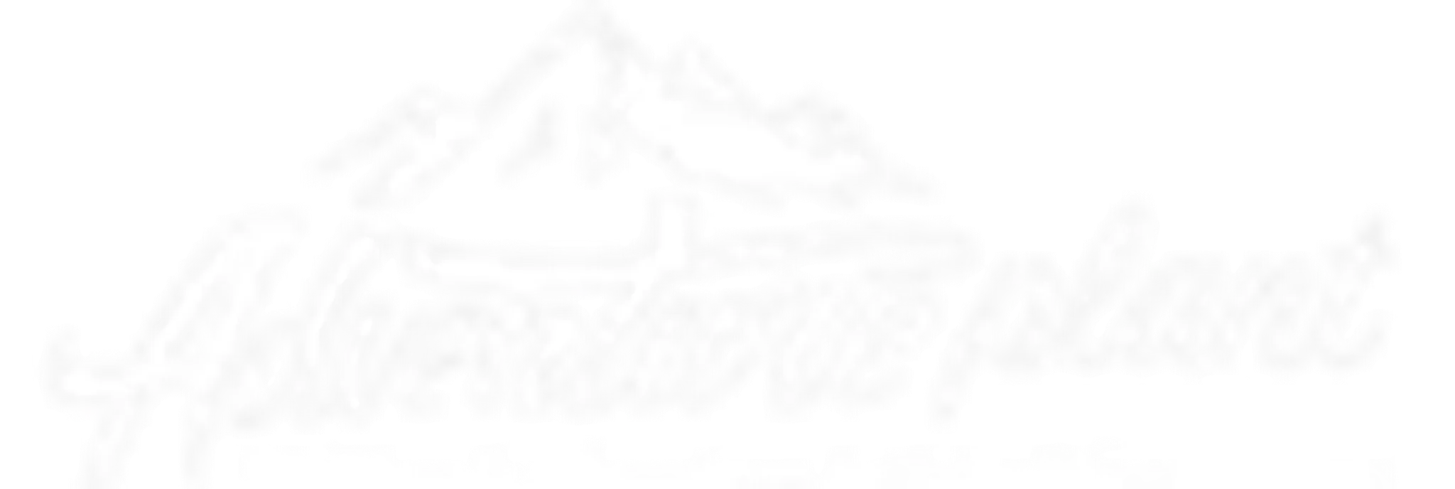 Zip Line & Adventure Activity Manufacture