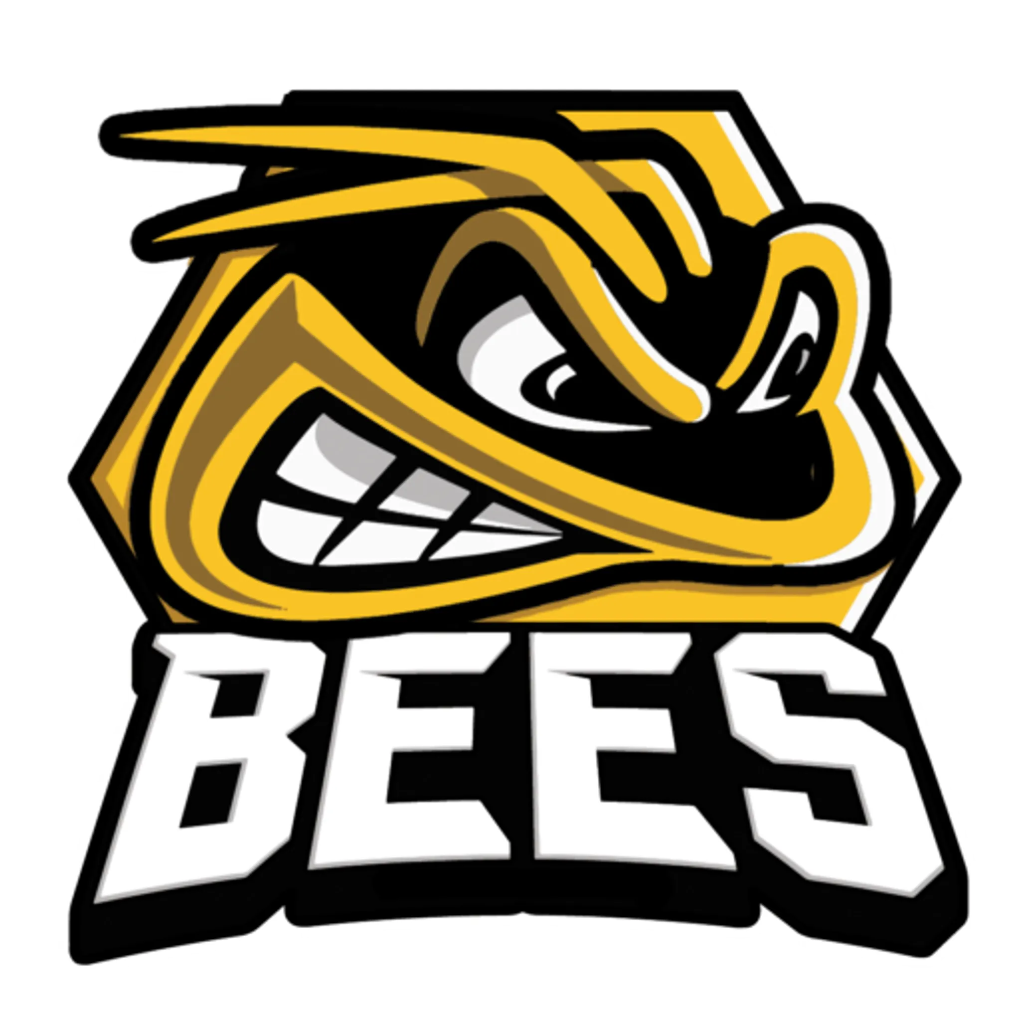 Bees Ice Hockey Club