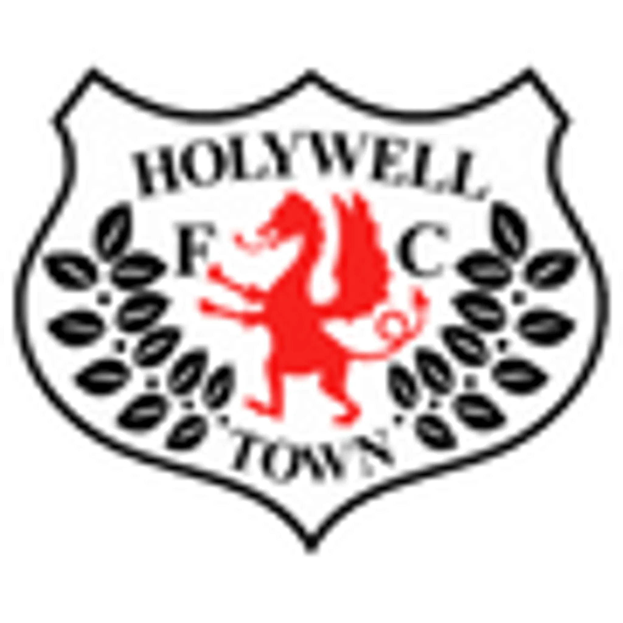 Holywell Town Football Club
