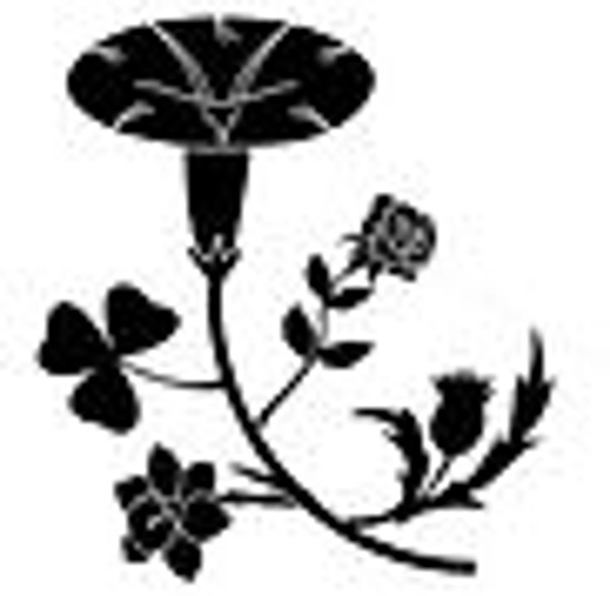 Daito Ryu AikiJujutsu UK