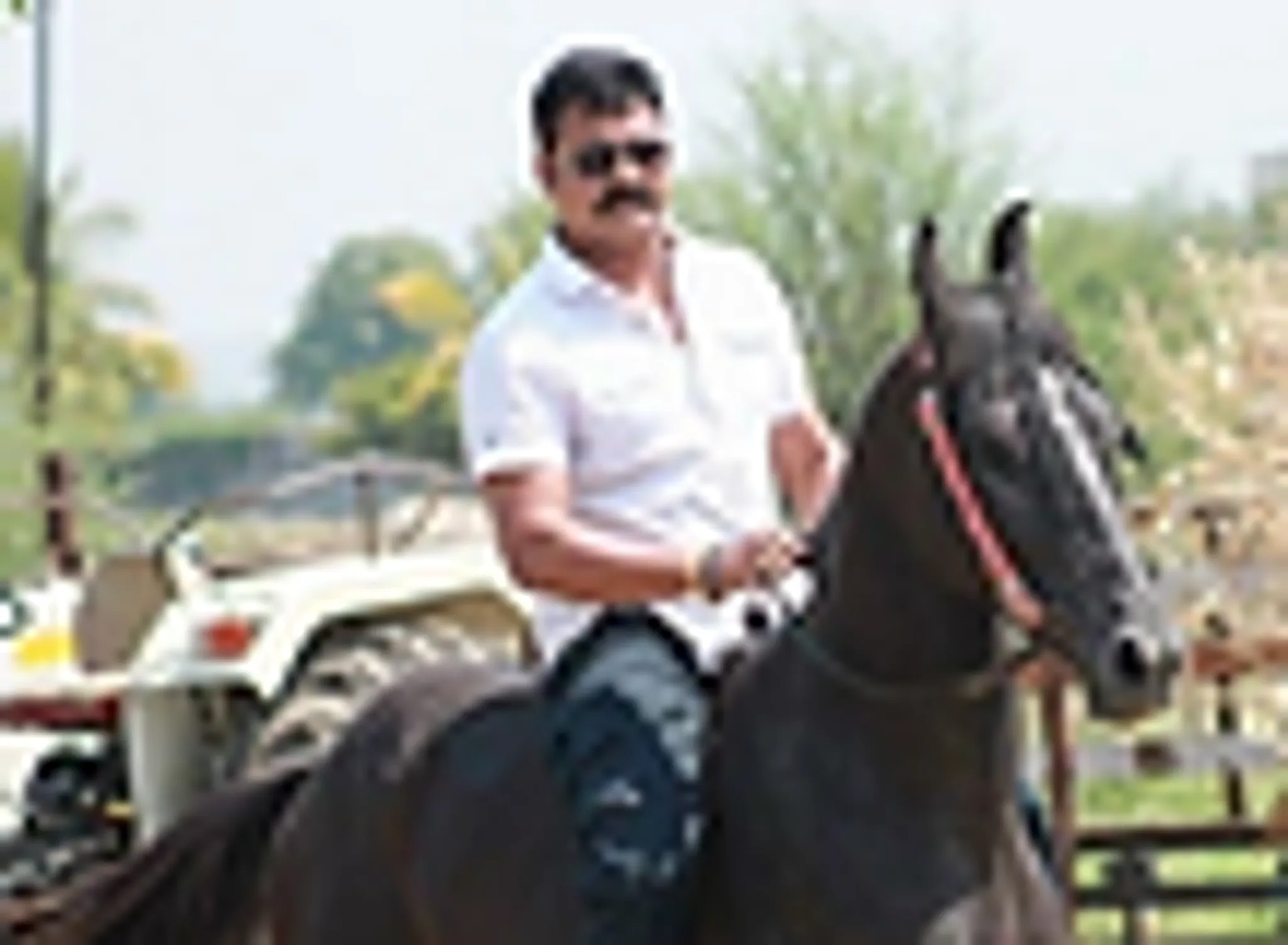 Naveen Farms - Horse Riding School