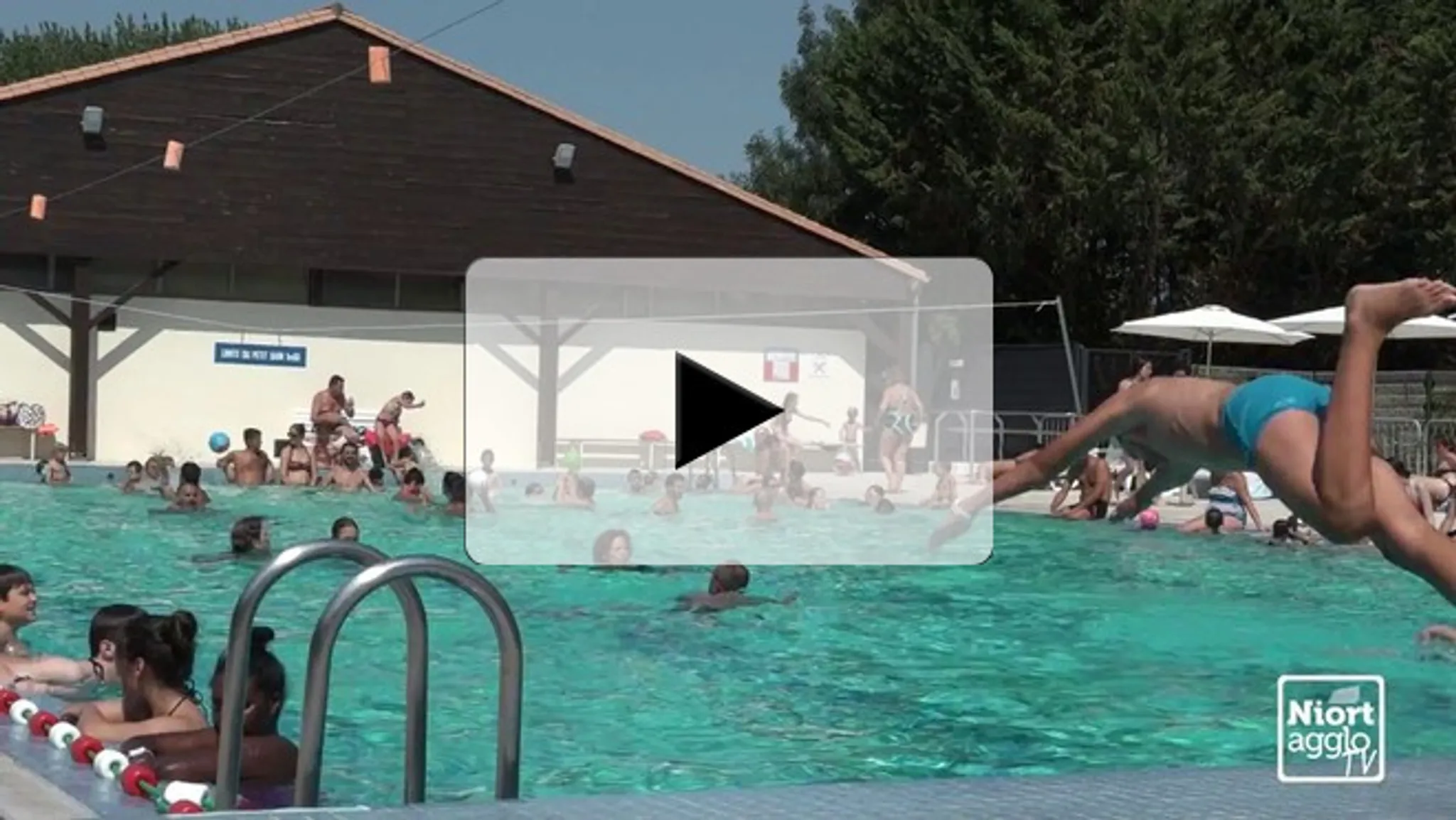 Offre de contrat d'apprentissage BPJEPS AAN