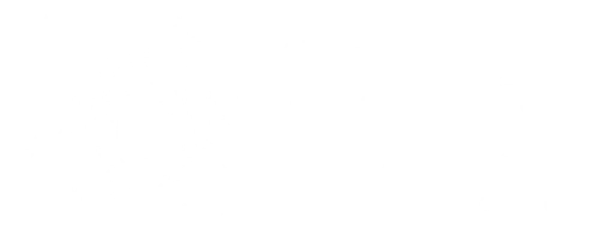 LAIDLEY CRUZ DEL SUR