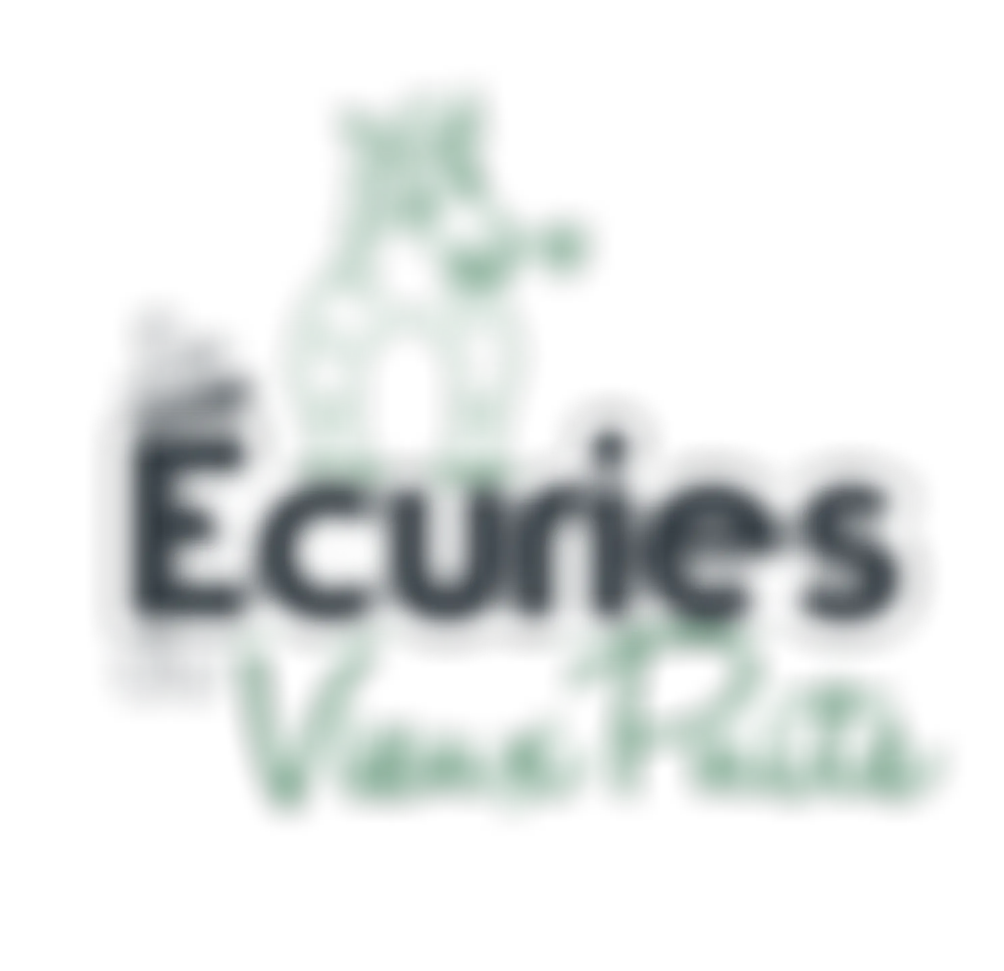 ECURIES DU VIEUX PUITS