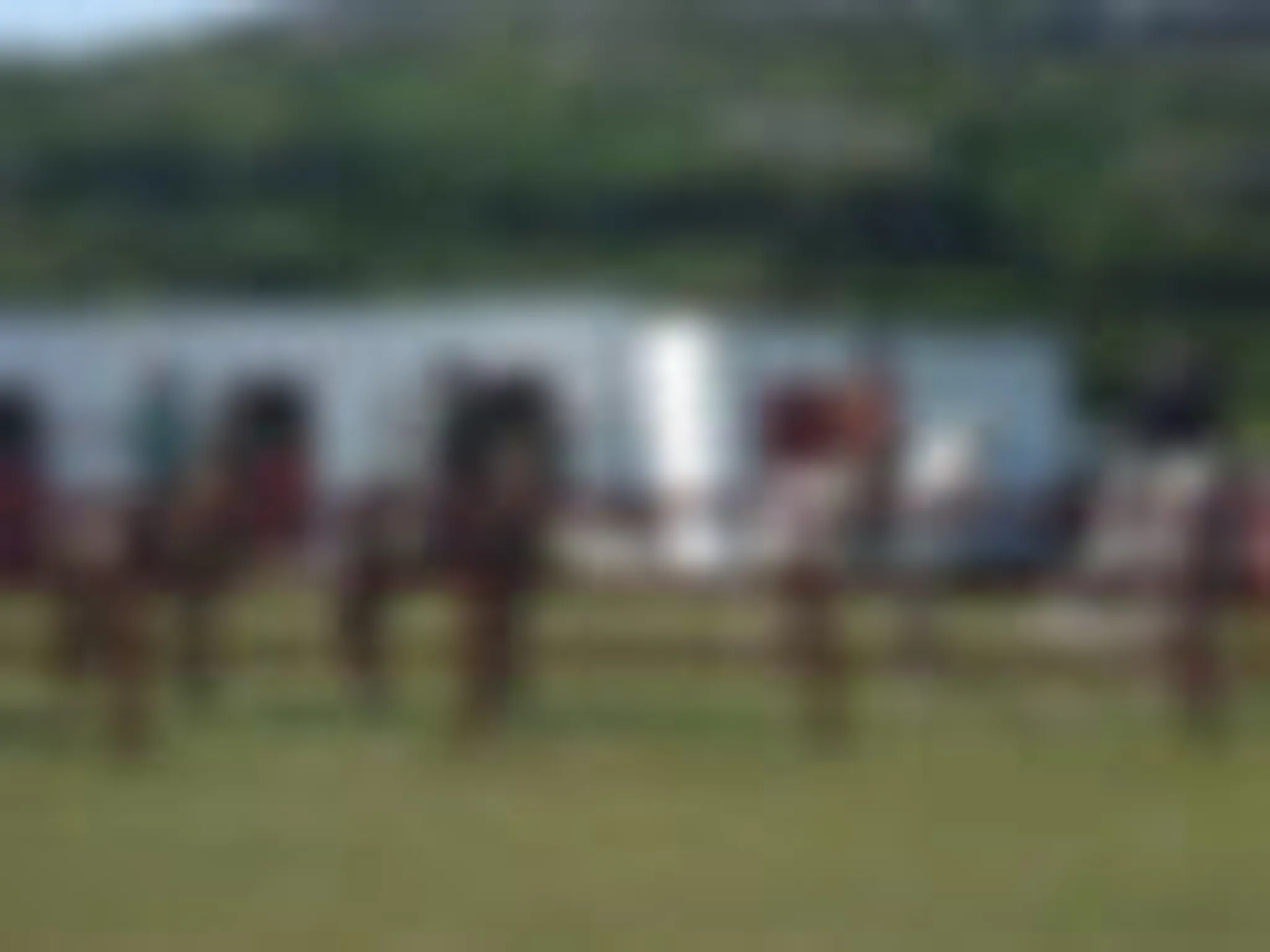 The Point Pony Trekking & Horse Riding Centre