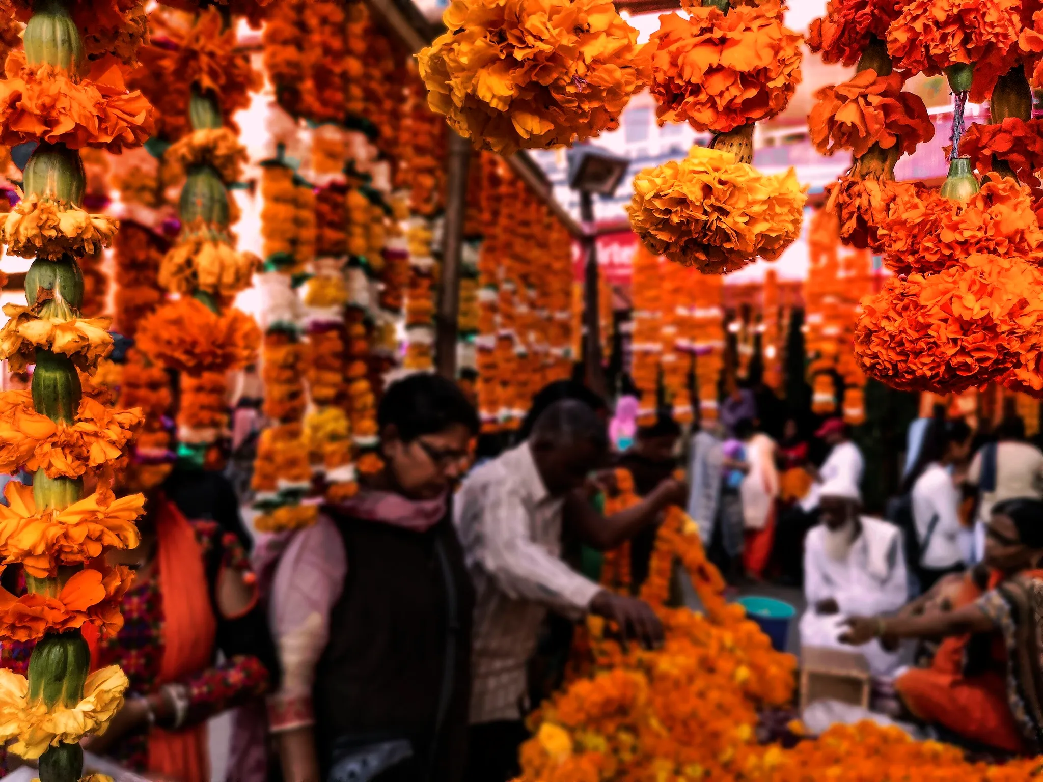 Fitness Bootcamp Manali