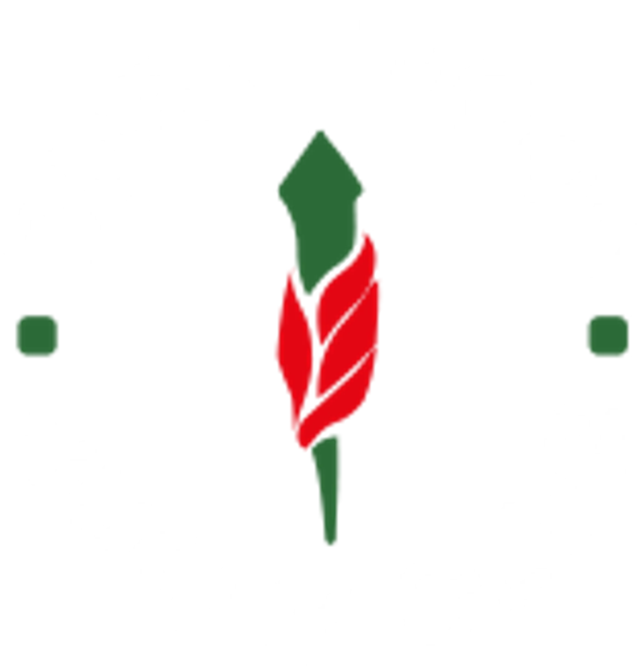 Burntwood Rugby Club