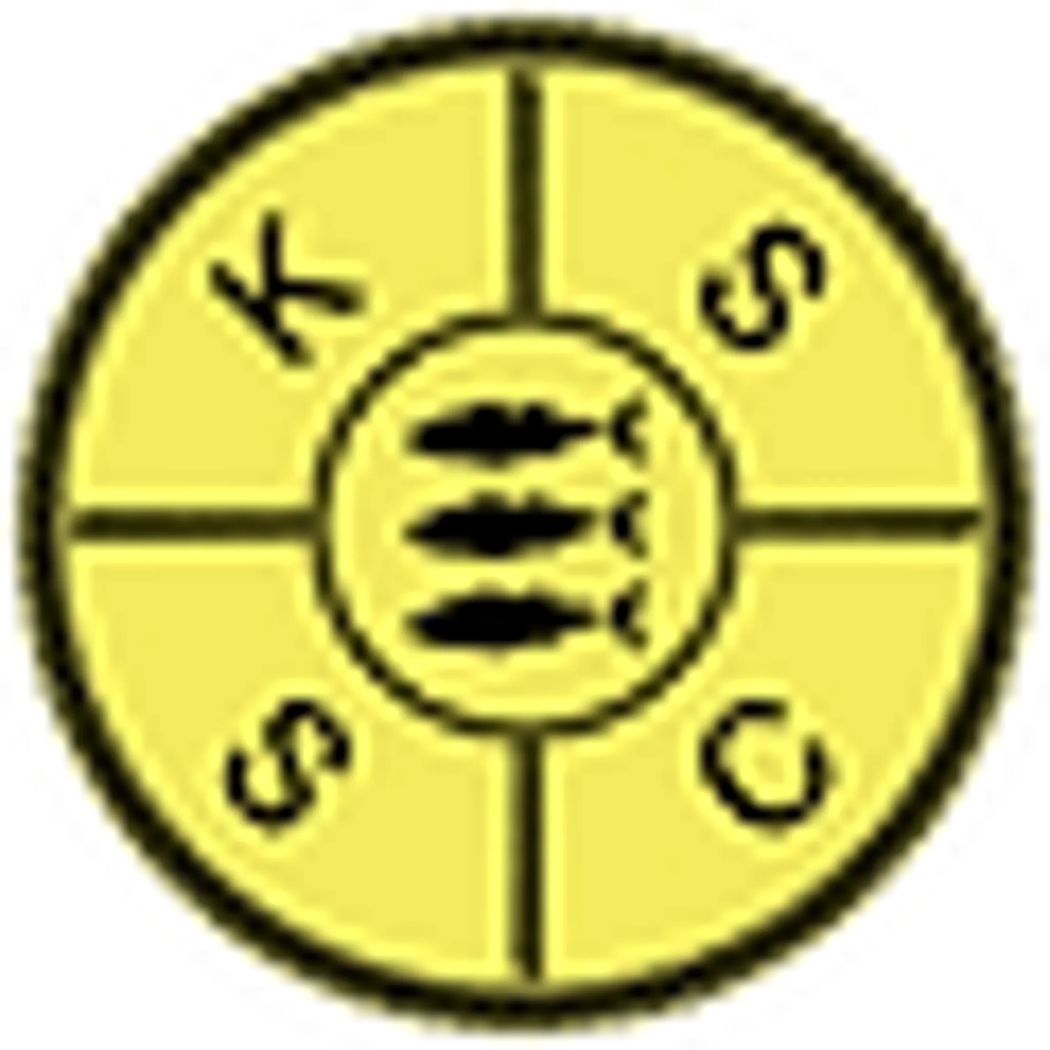 Kingston Synchronised Swimming Club