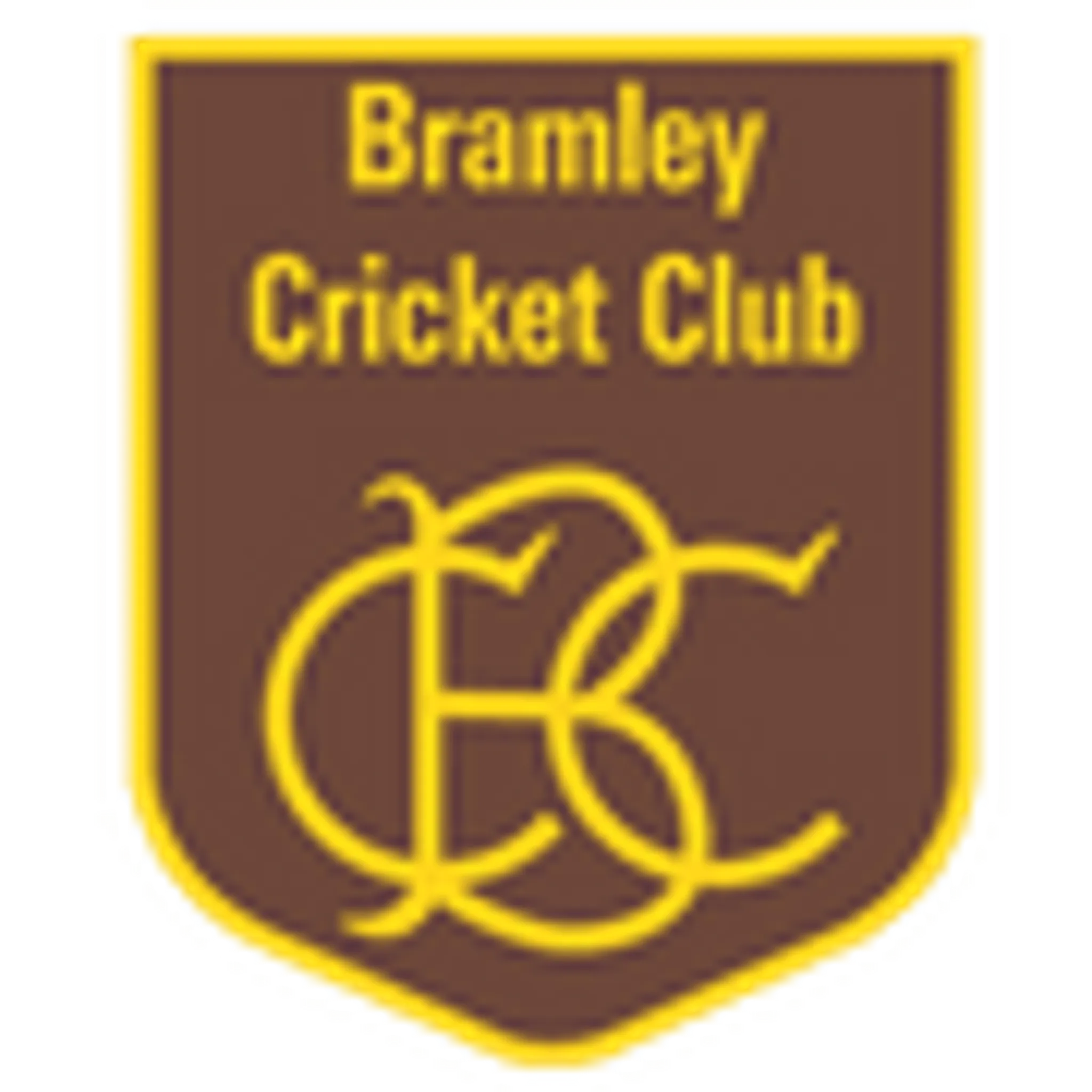 Bramley Cricket Club