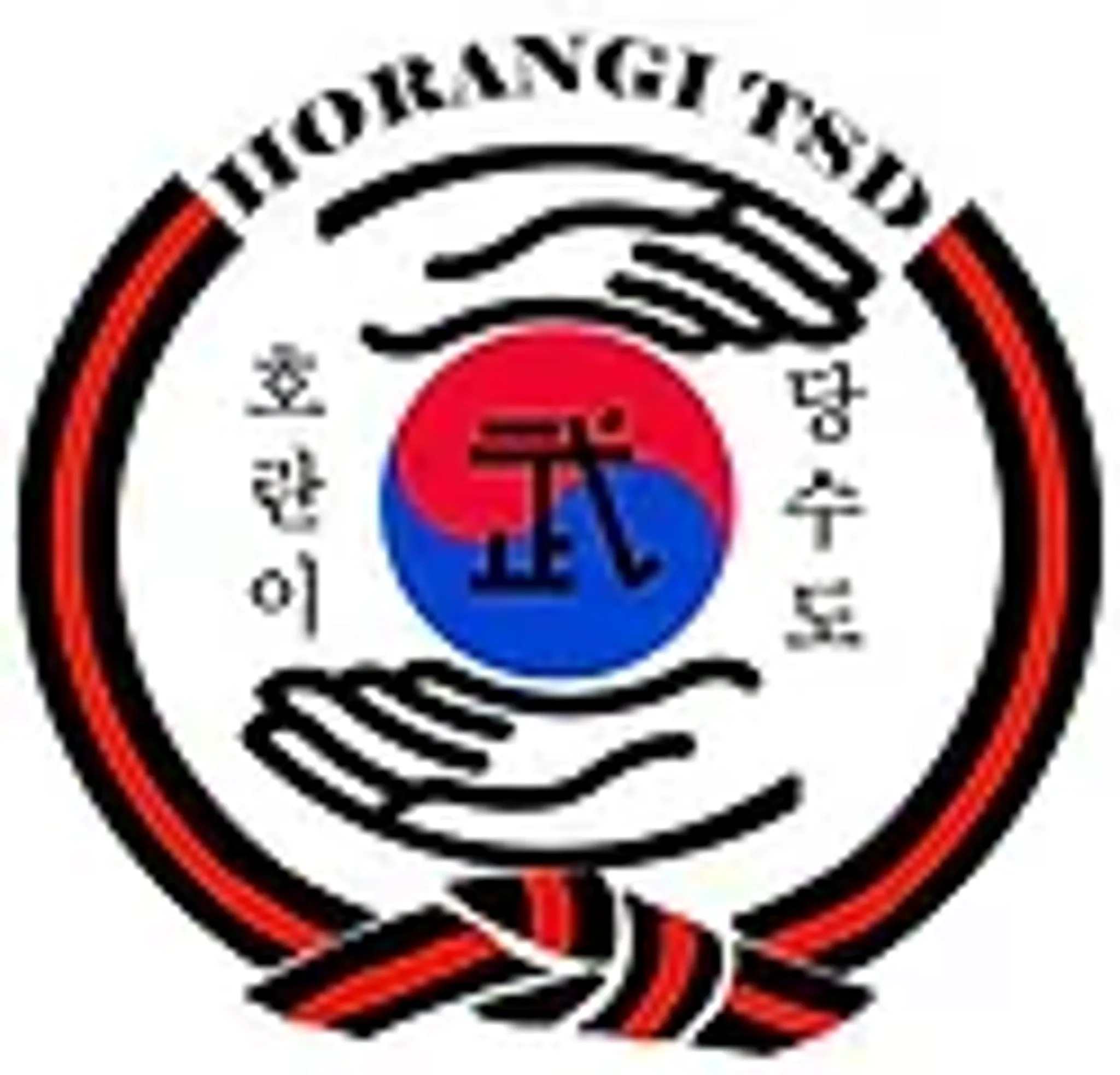 Tiger Academy Tang Soo Do