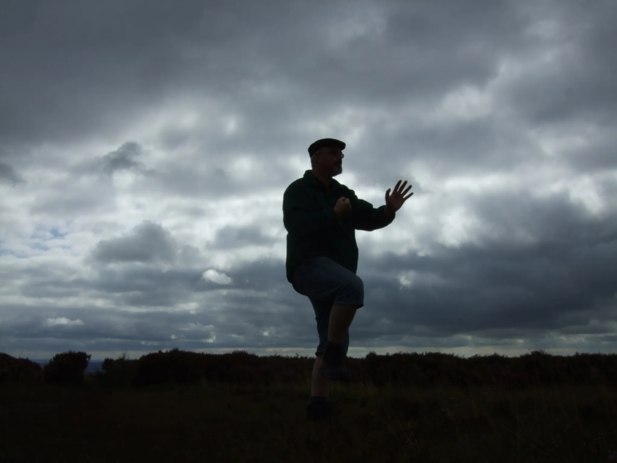 Peaceful Warrior Tai Chi