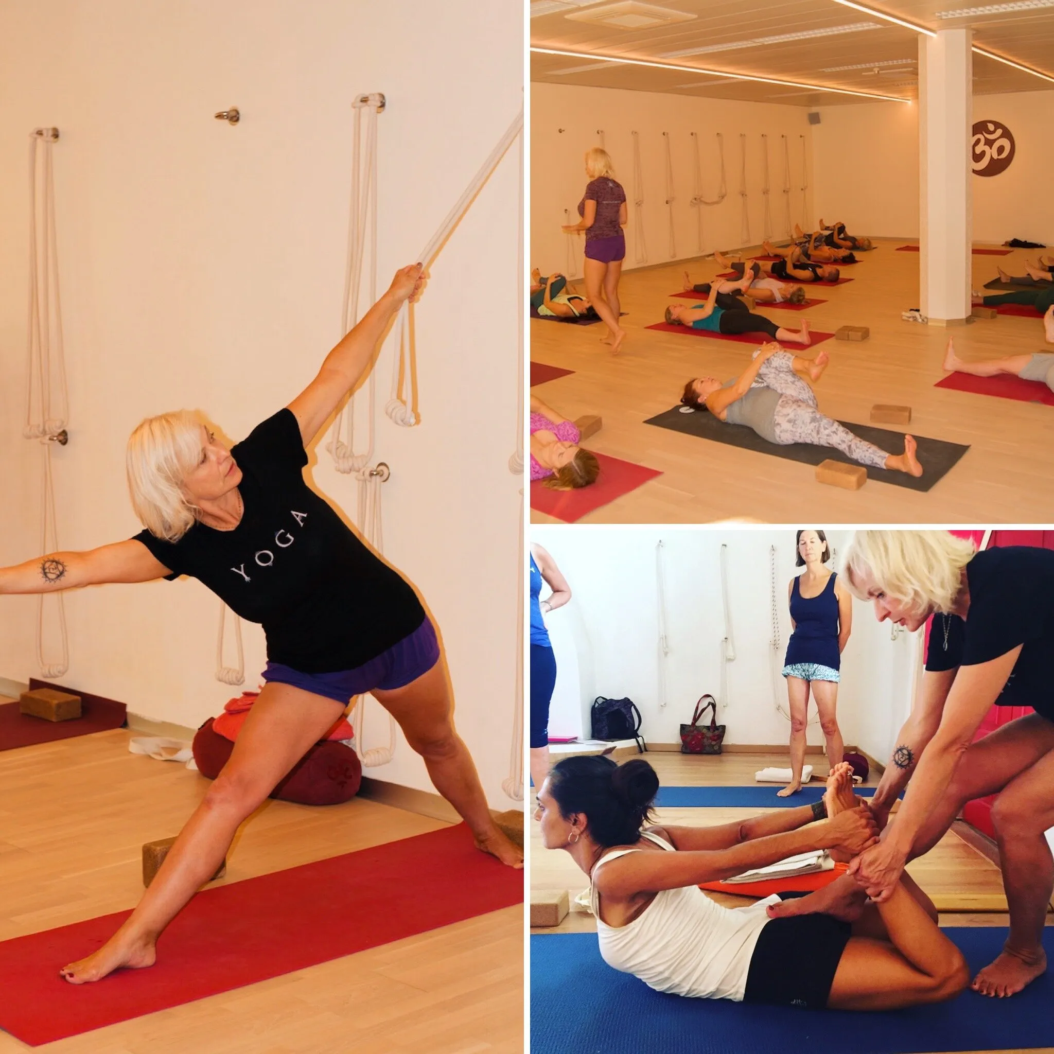 Iyengar Yoga Camp Retreat 2024