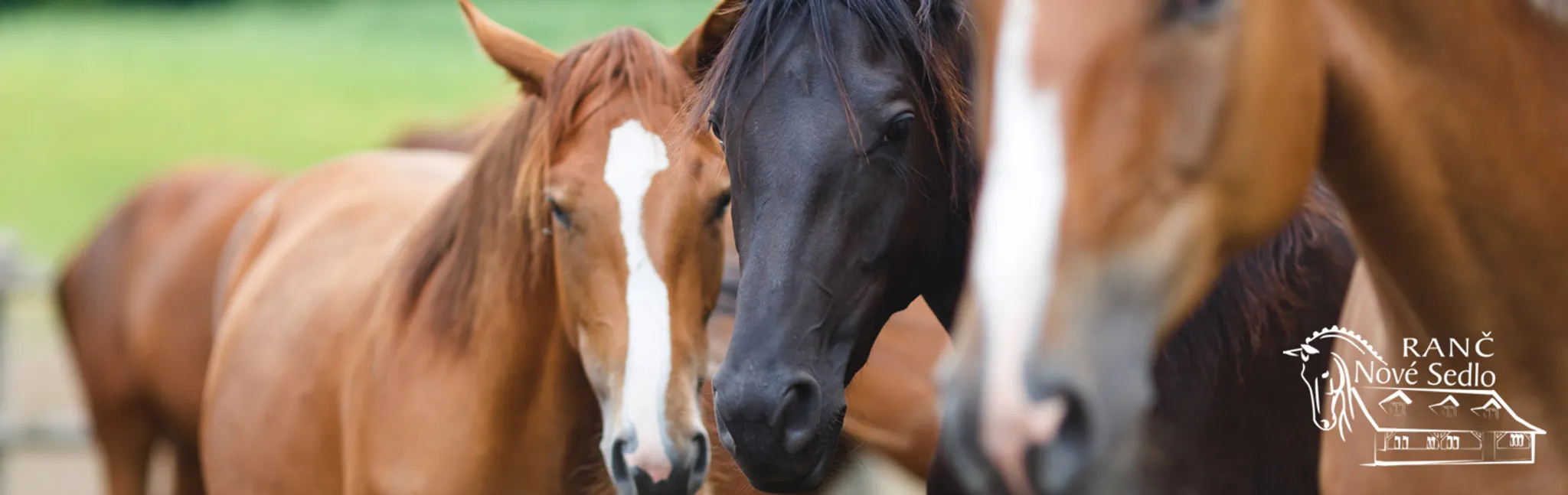 Pobytový a denný tábor 2024
