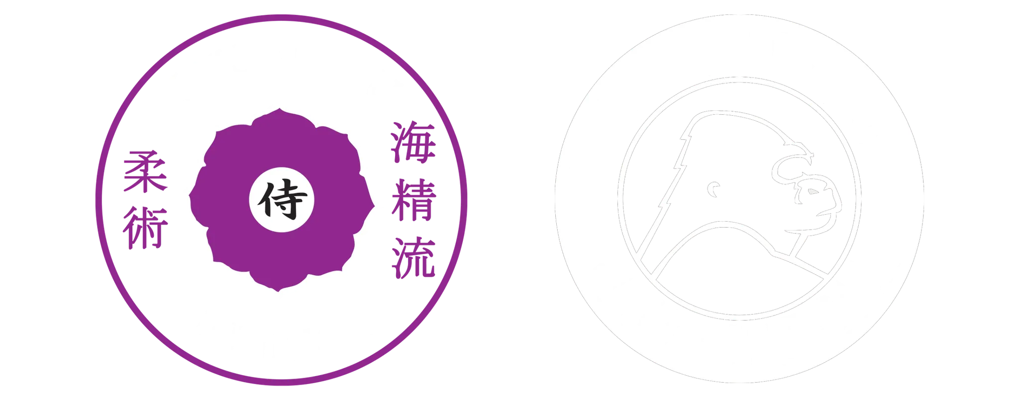 Peninsula Martial Arts Academy