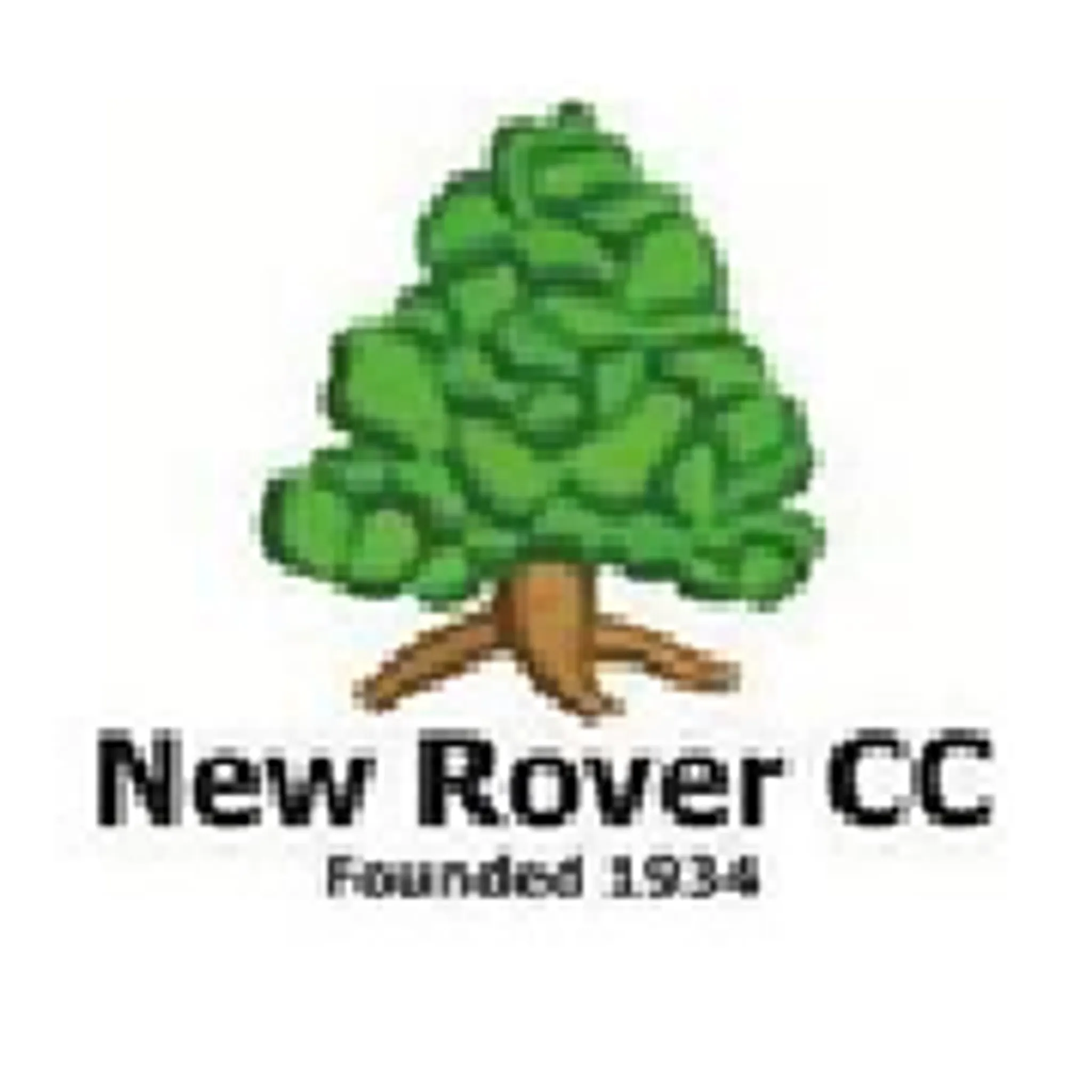 New Rover Cricket Club