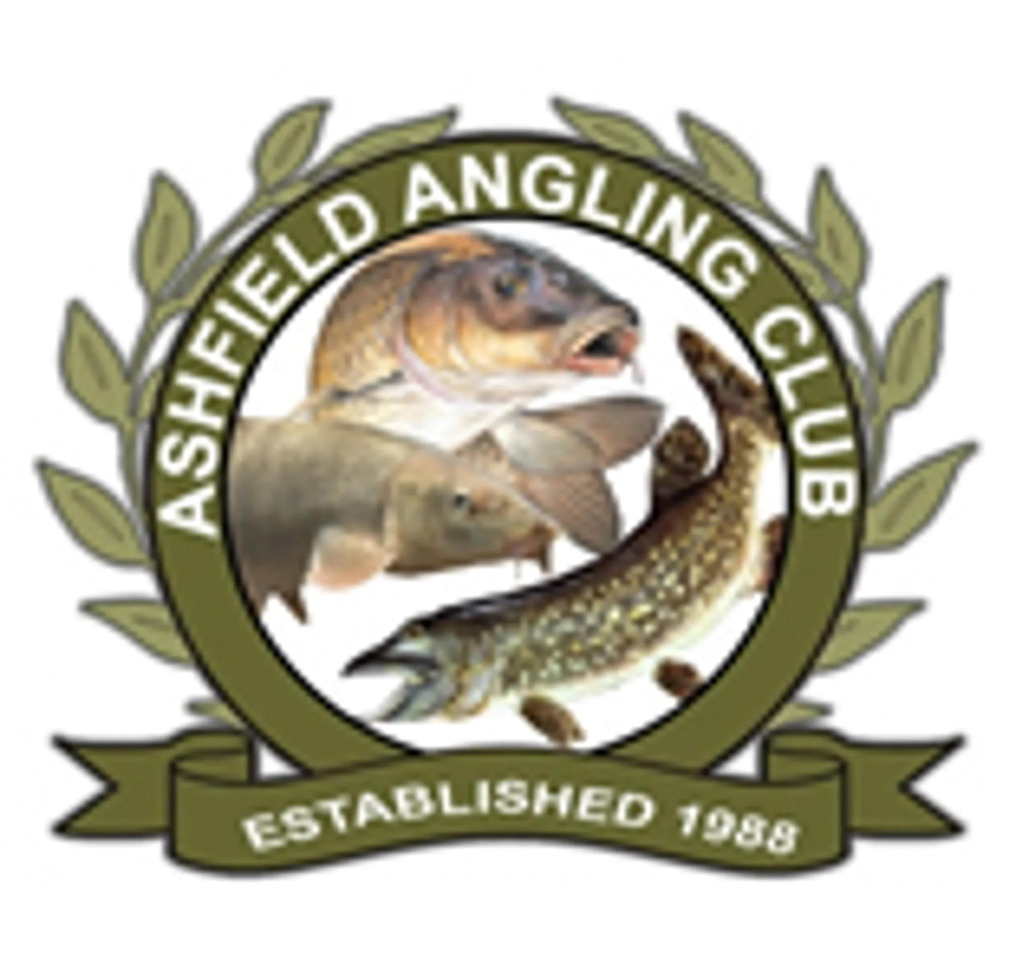 Ashfield Angling Stoke Bardolph River Trent Day Ticket