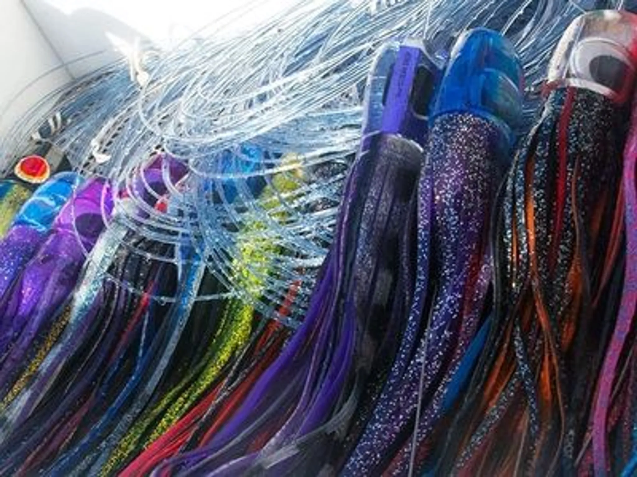 Gold Coast Fishing Trips